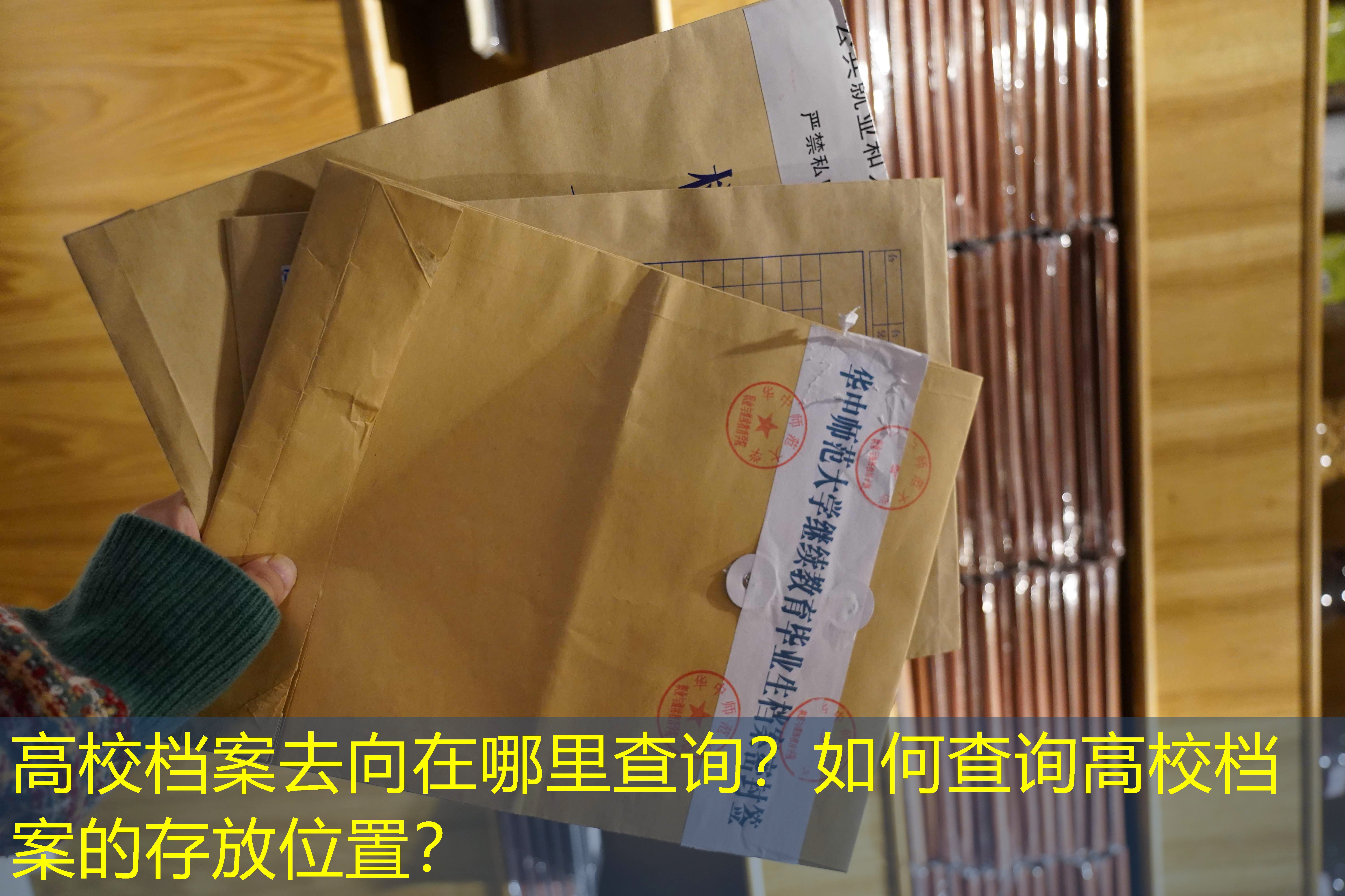 档案查询
