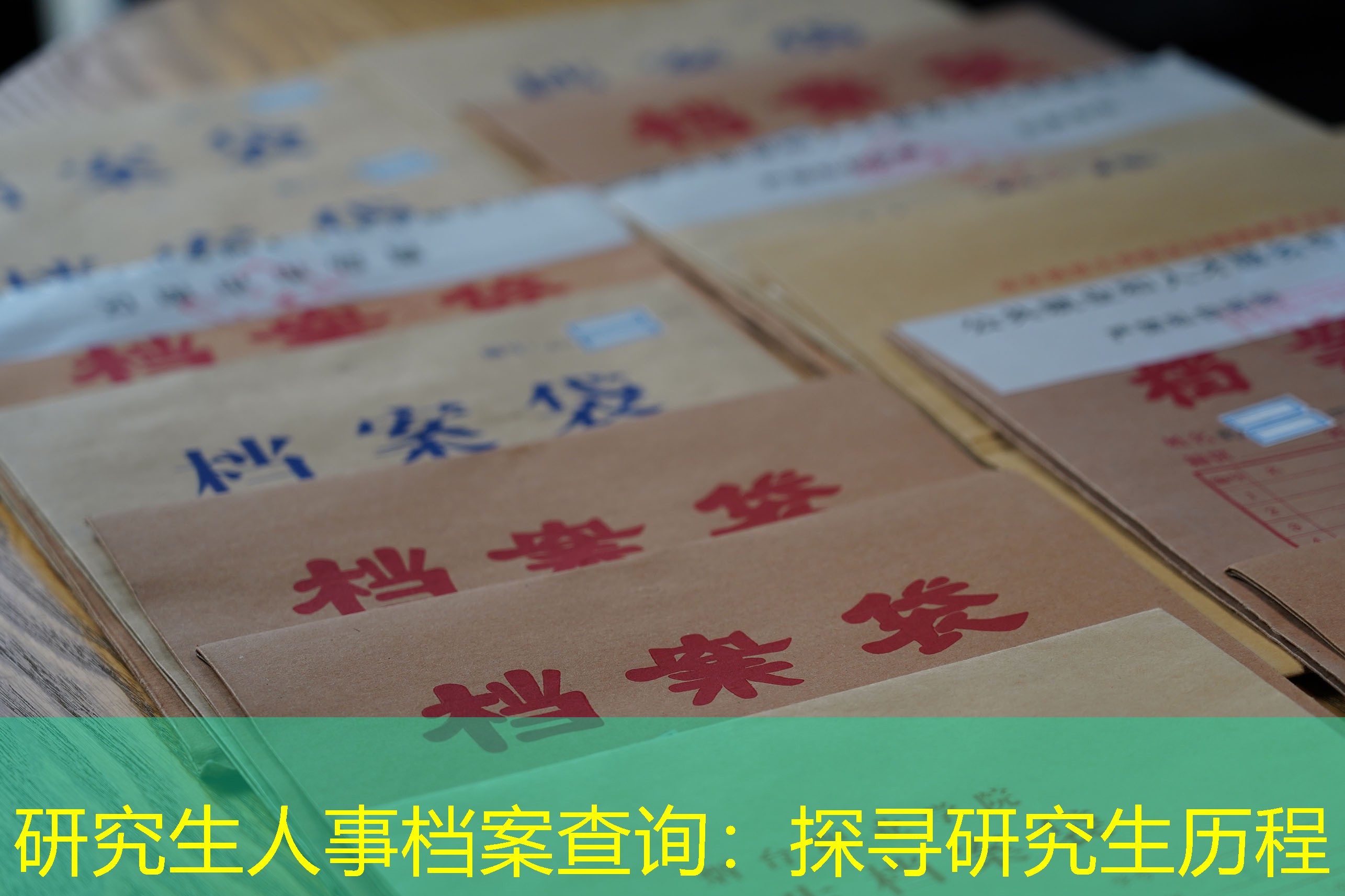 档案查询