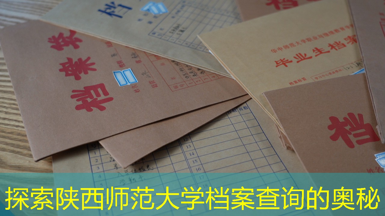 档案查询