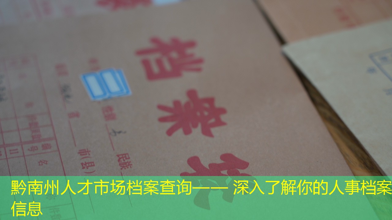 档案查询