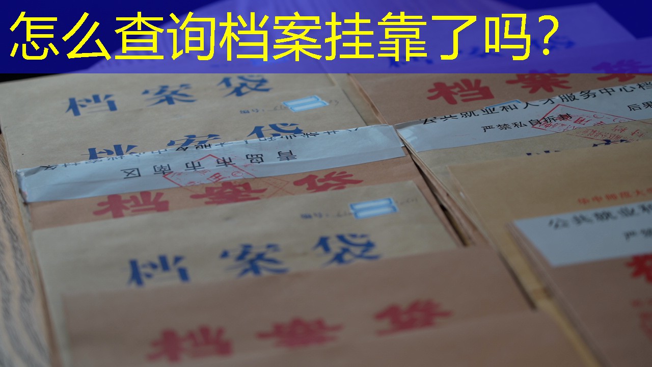 档案查询