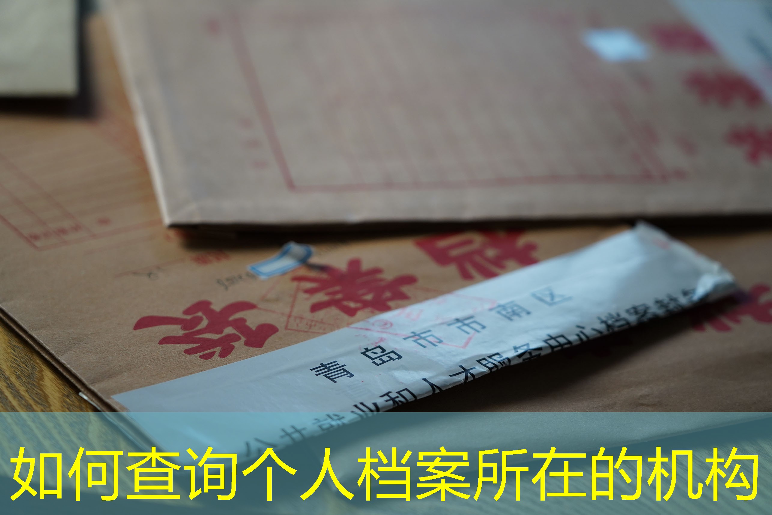 档案查询