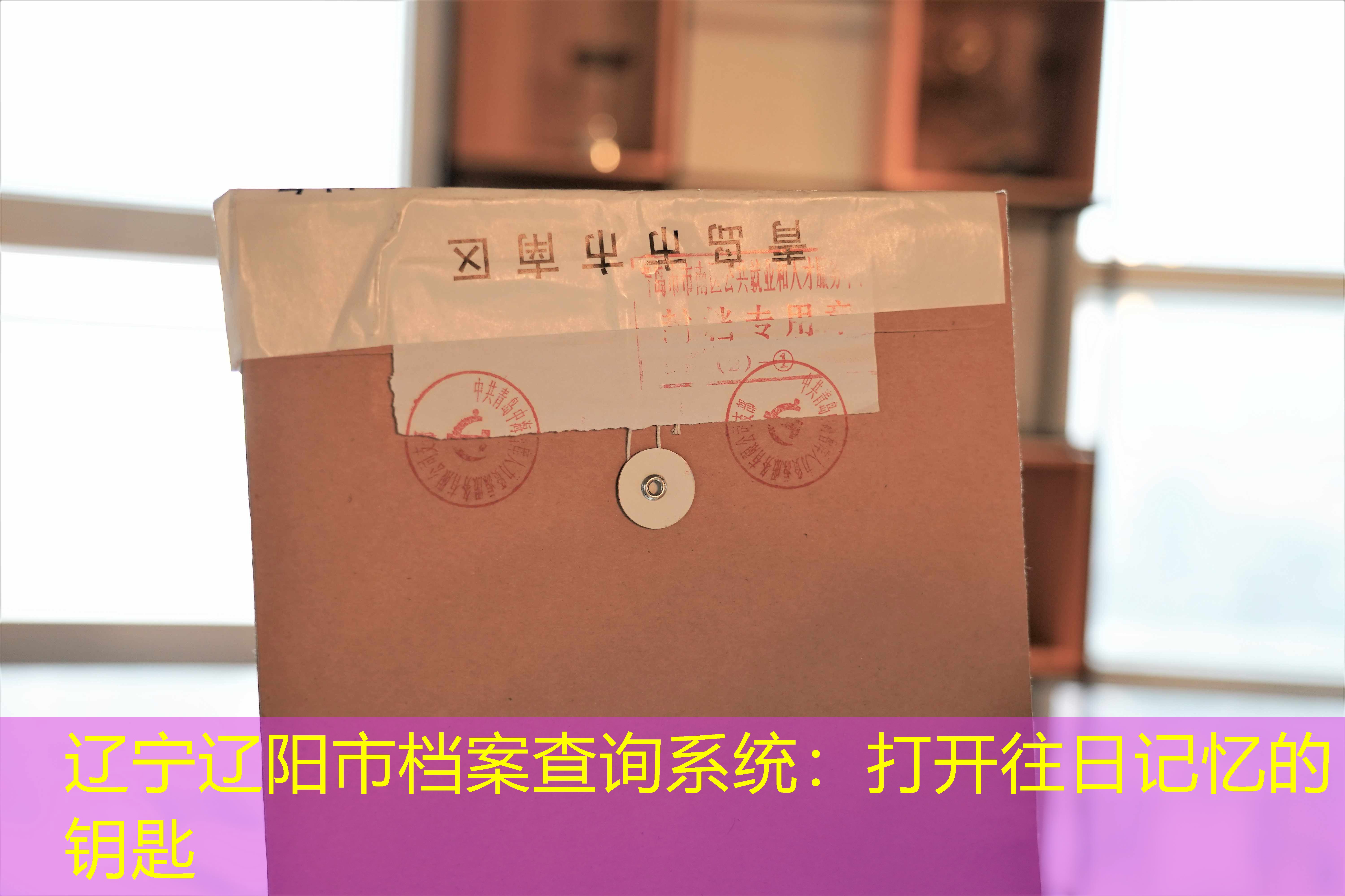 档案查询