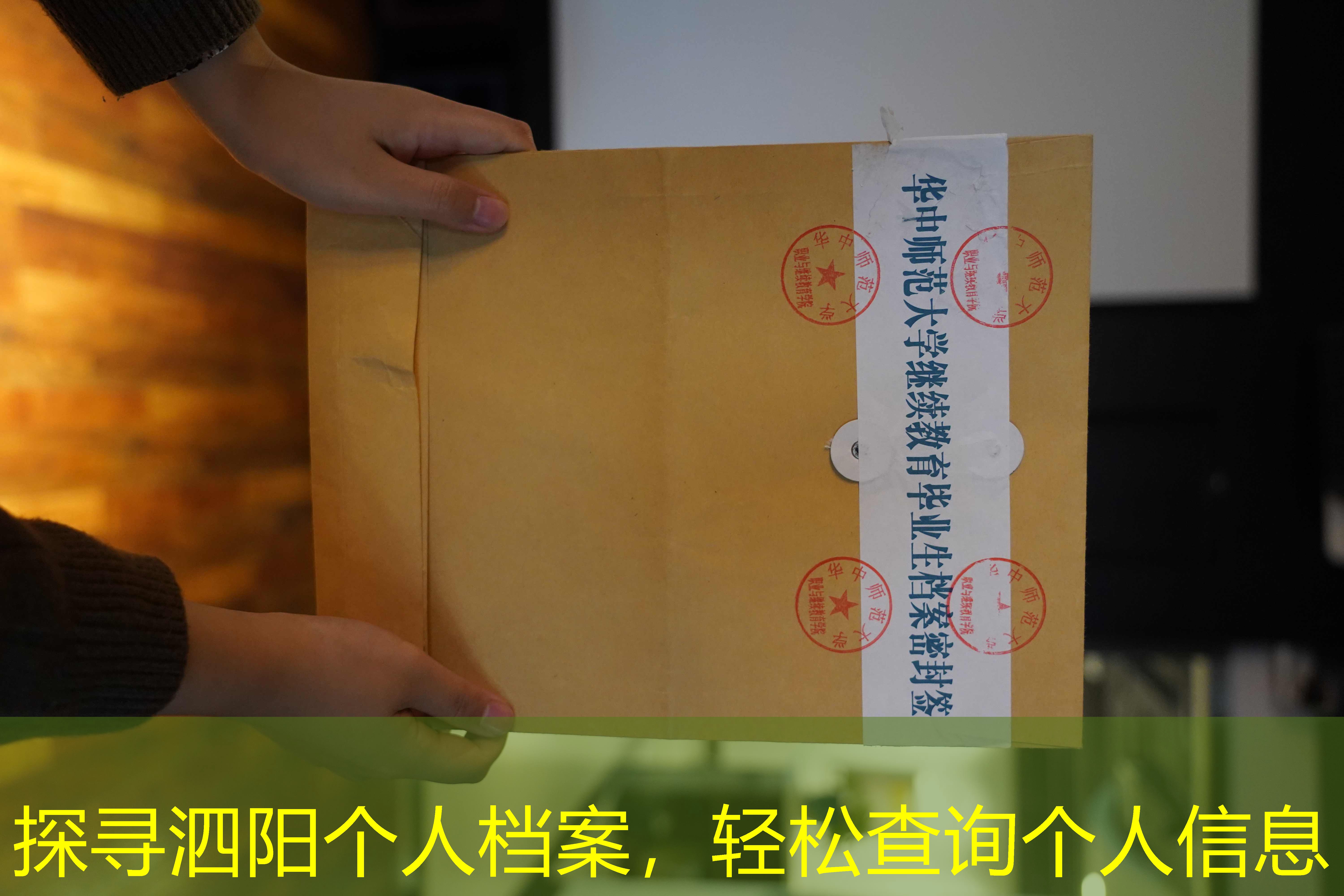 档案查询