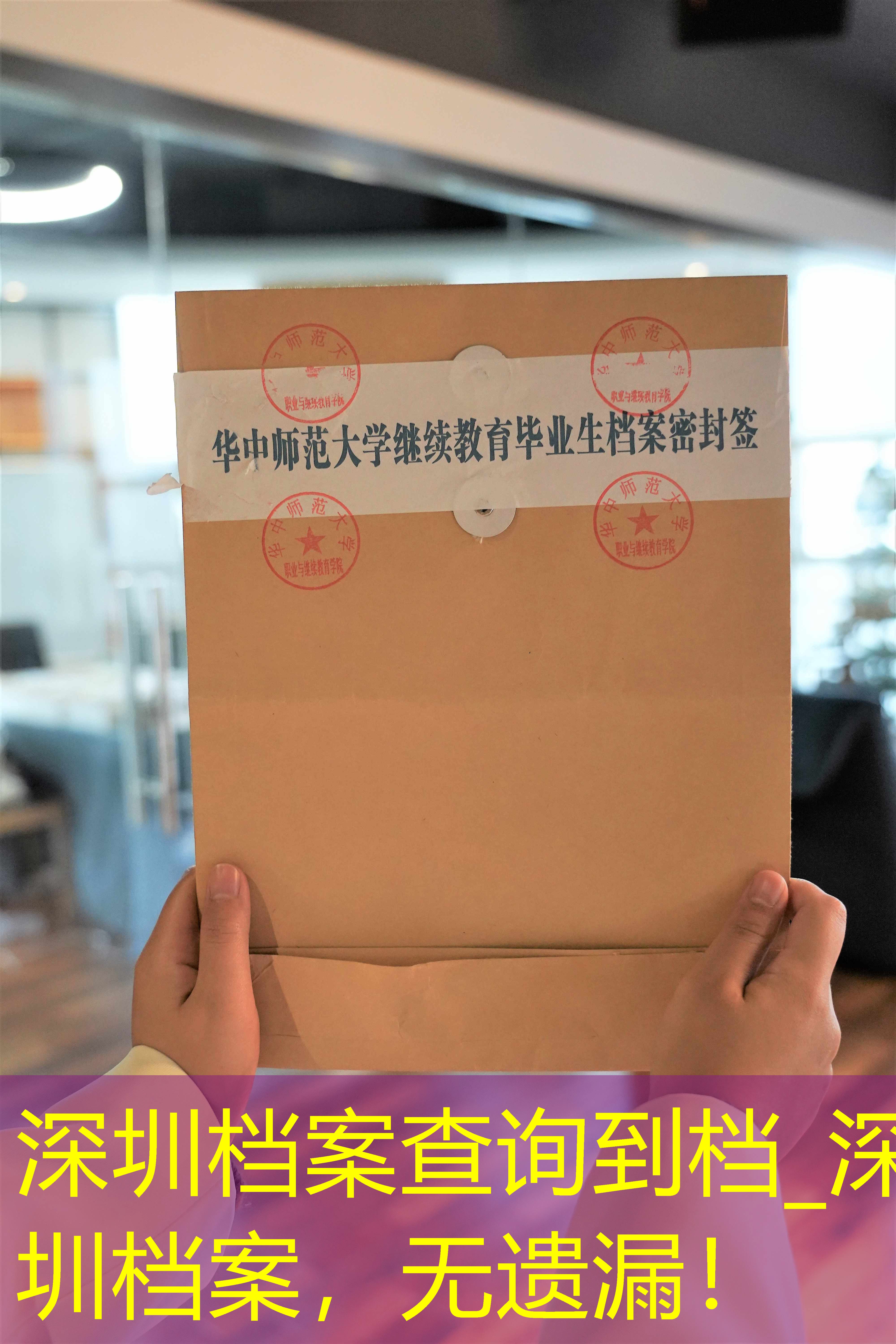 档案查询