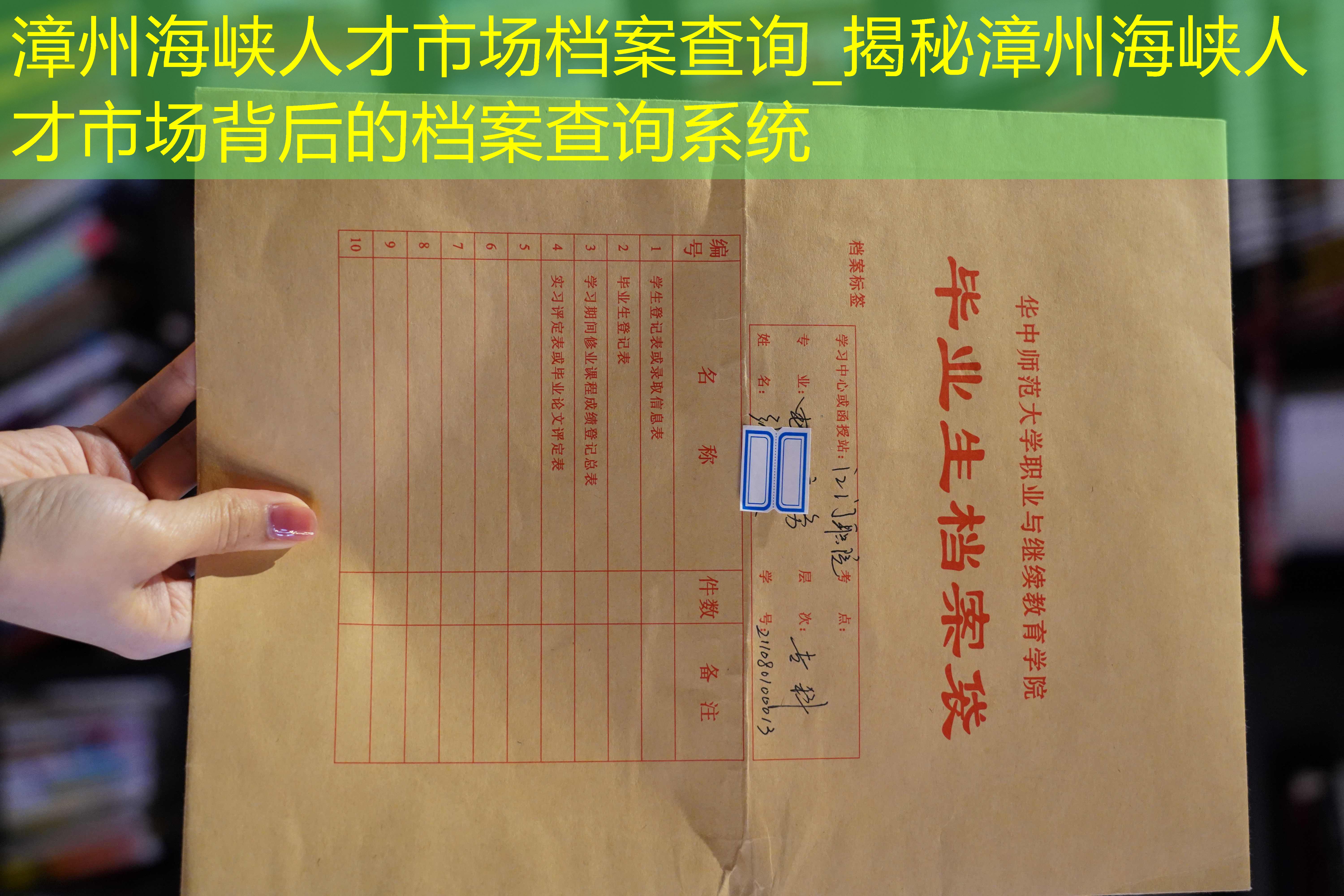 档案查询