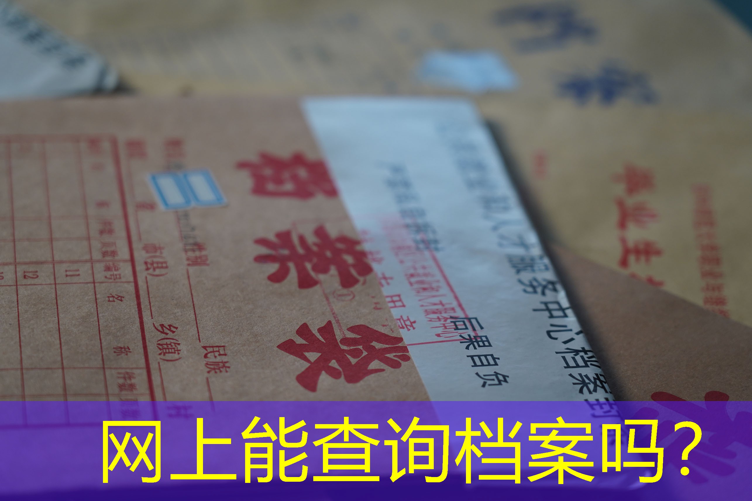 档案查询
