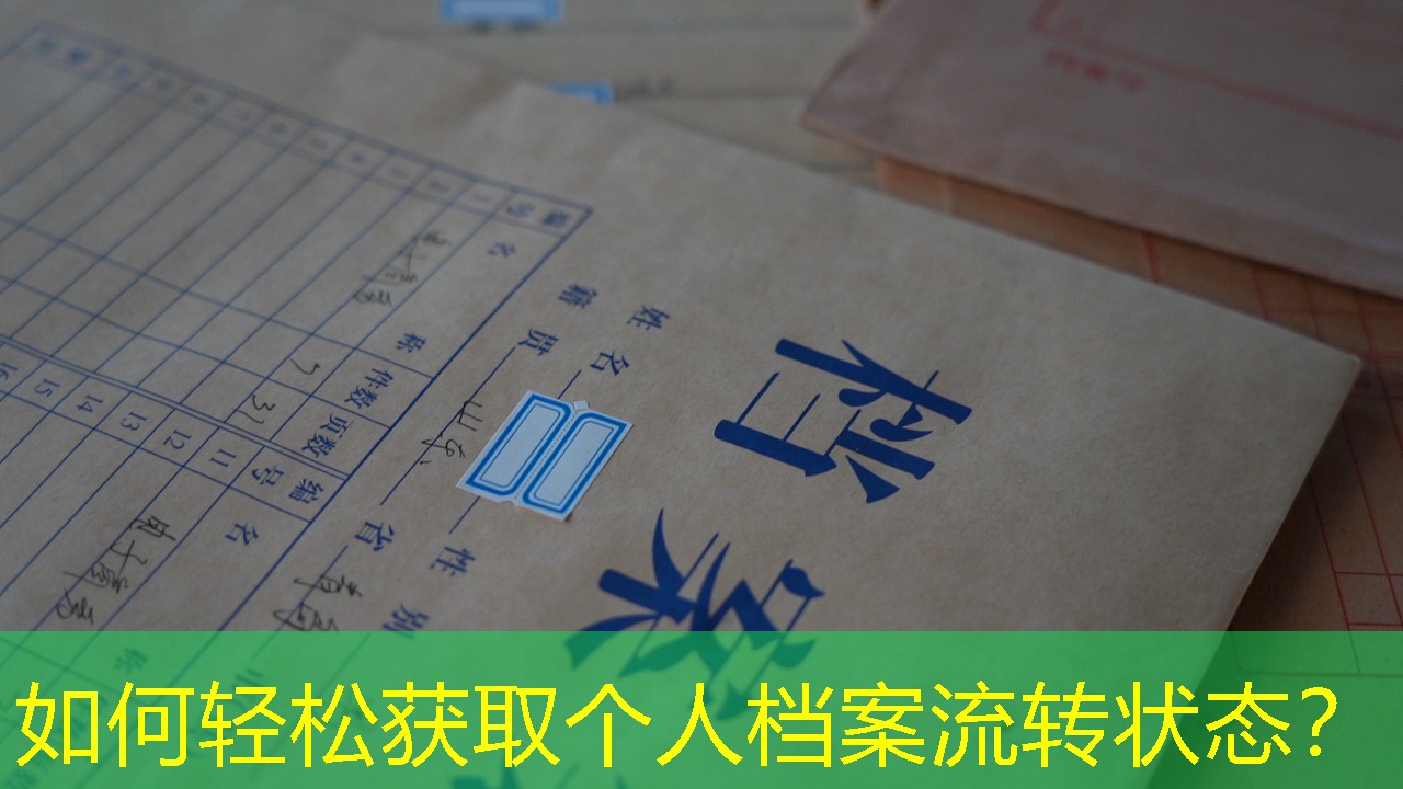 档案查询