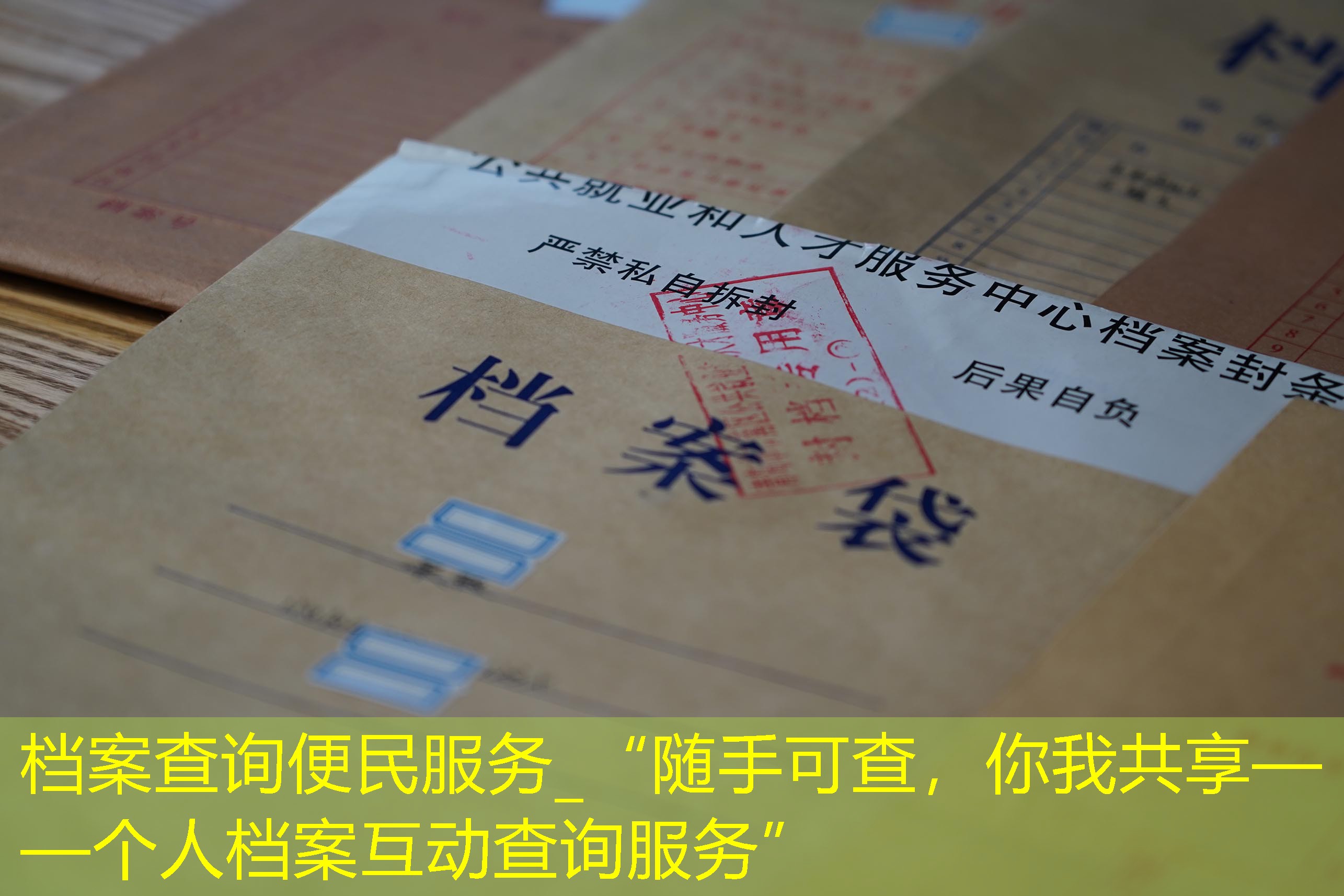 档案查询