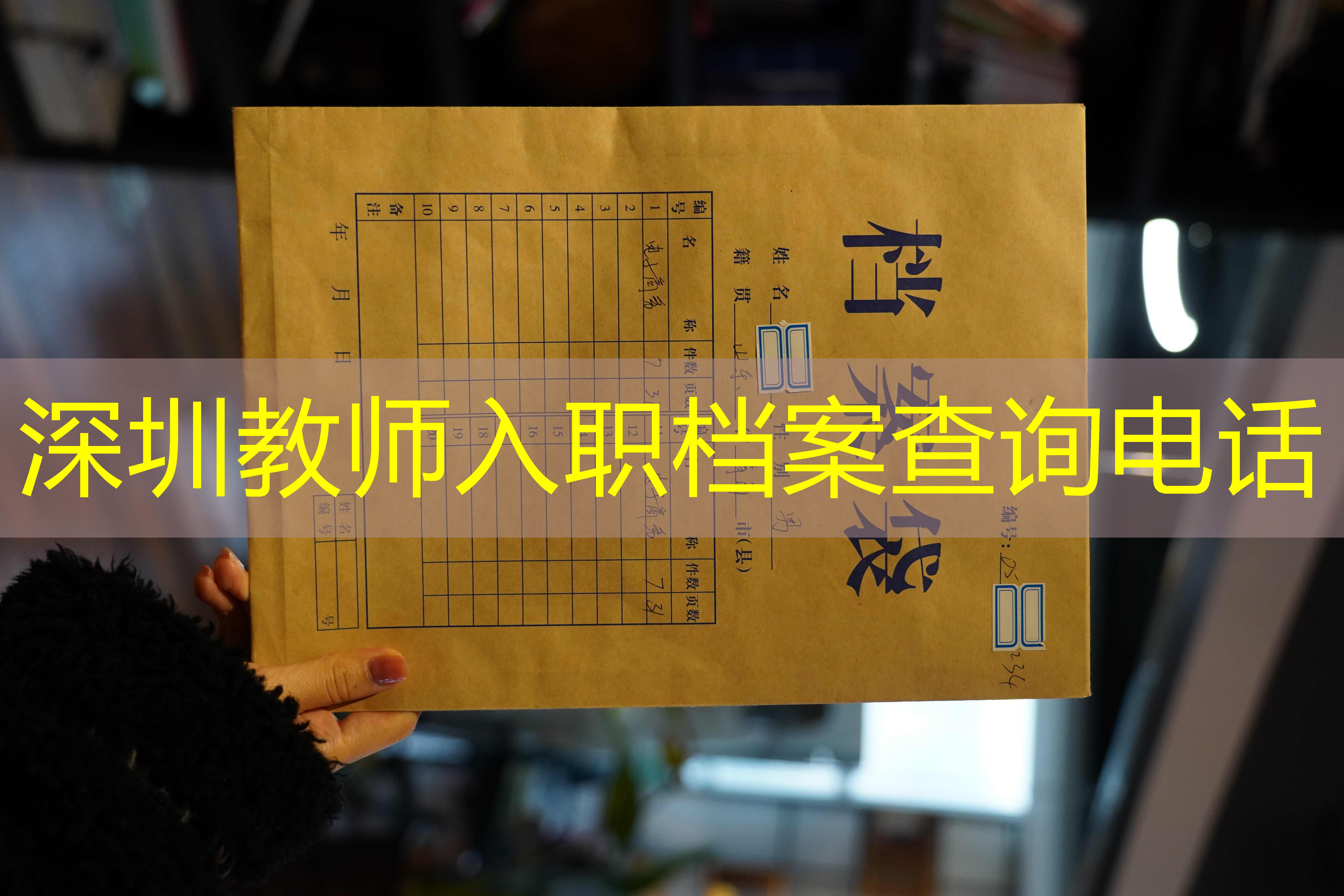 档案查询