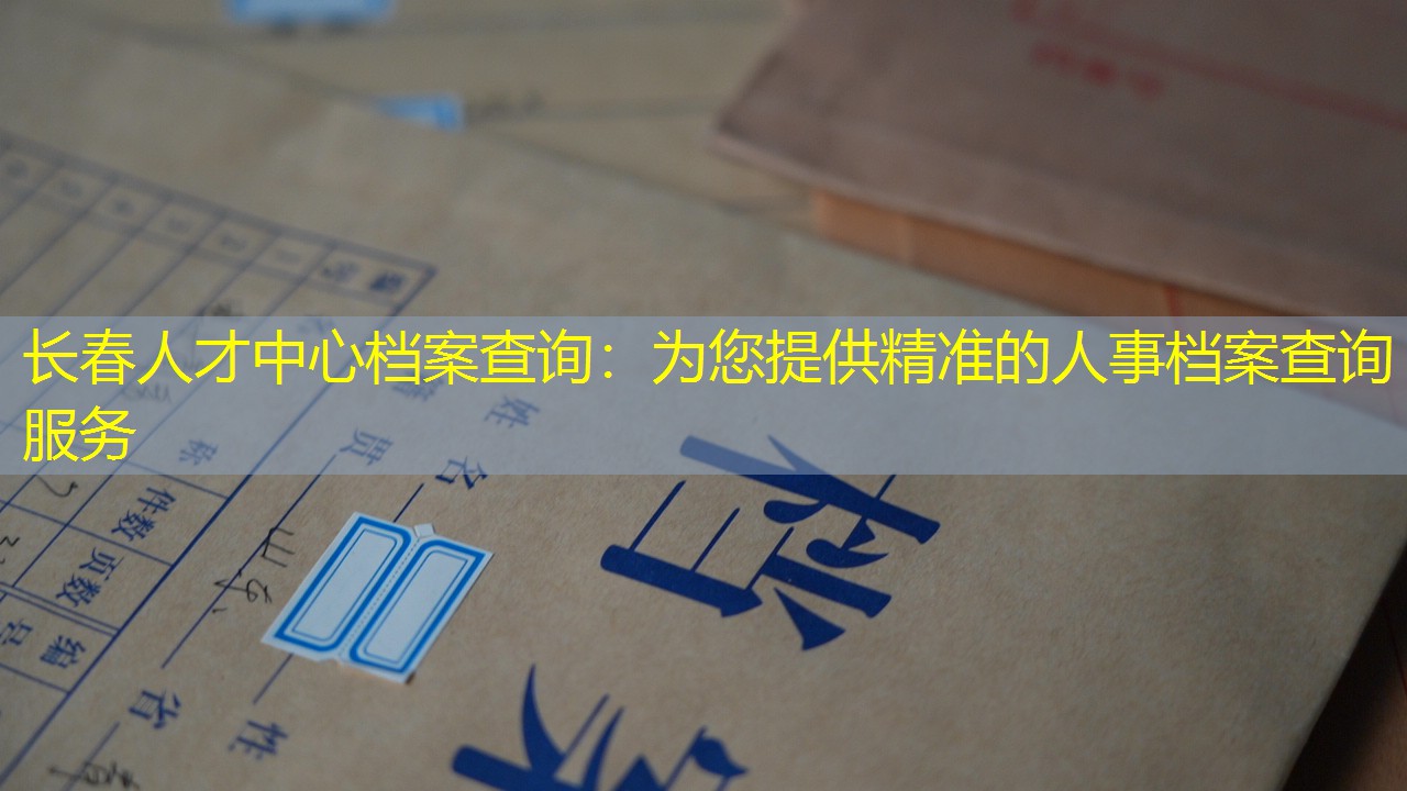 档案查询