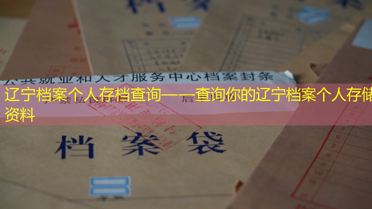 档案查询