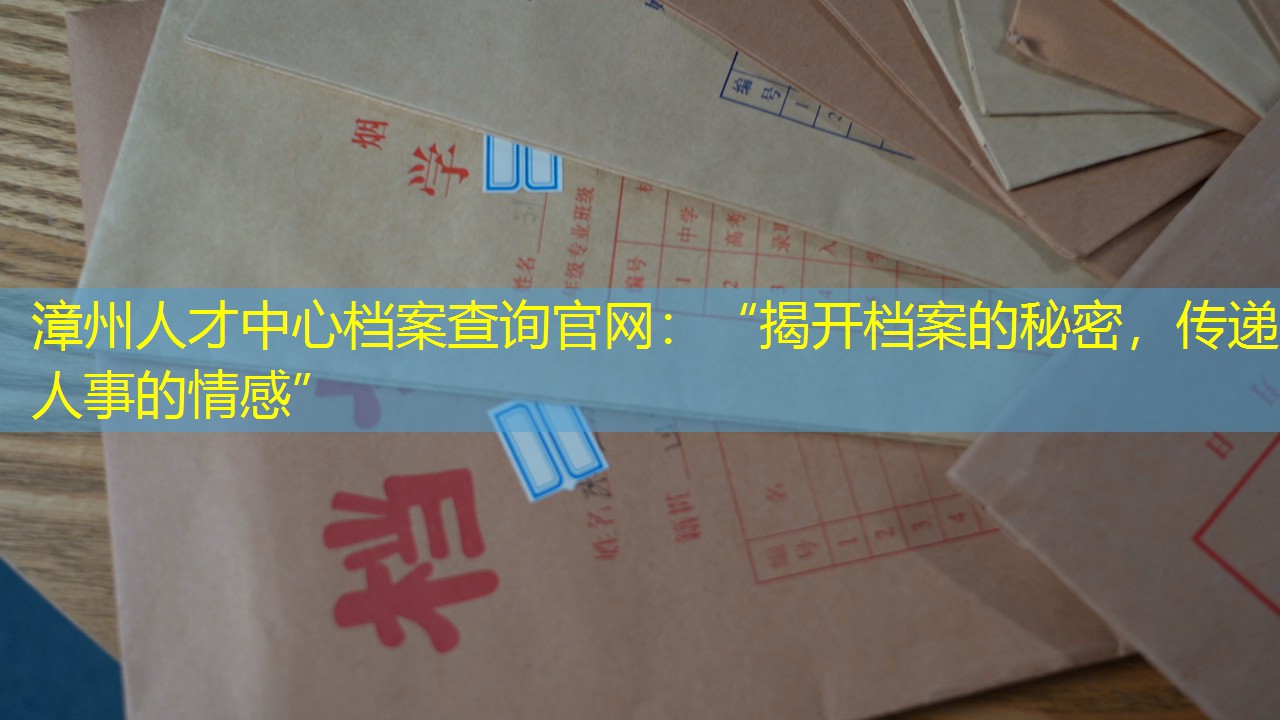 档案查询