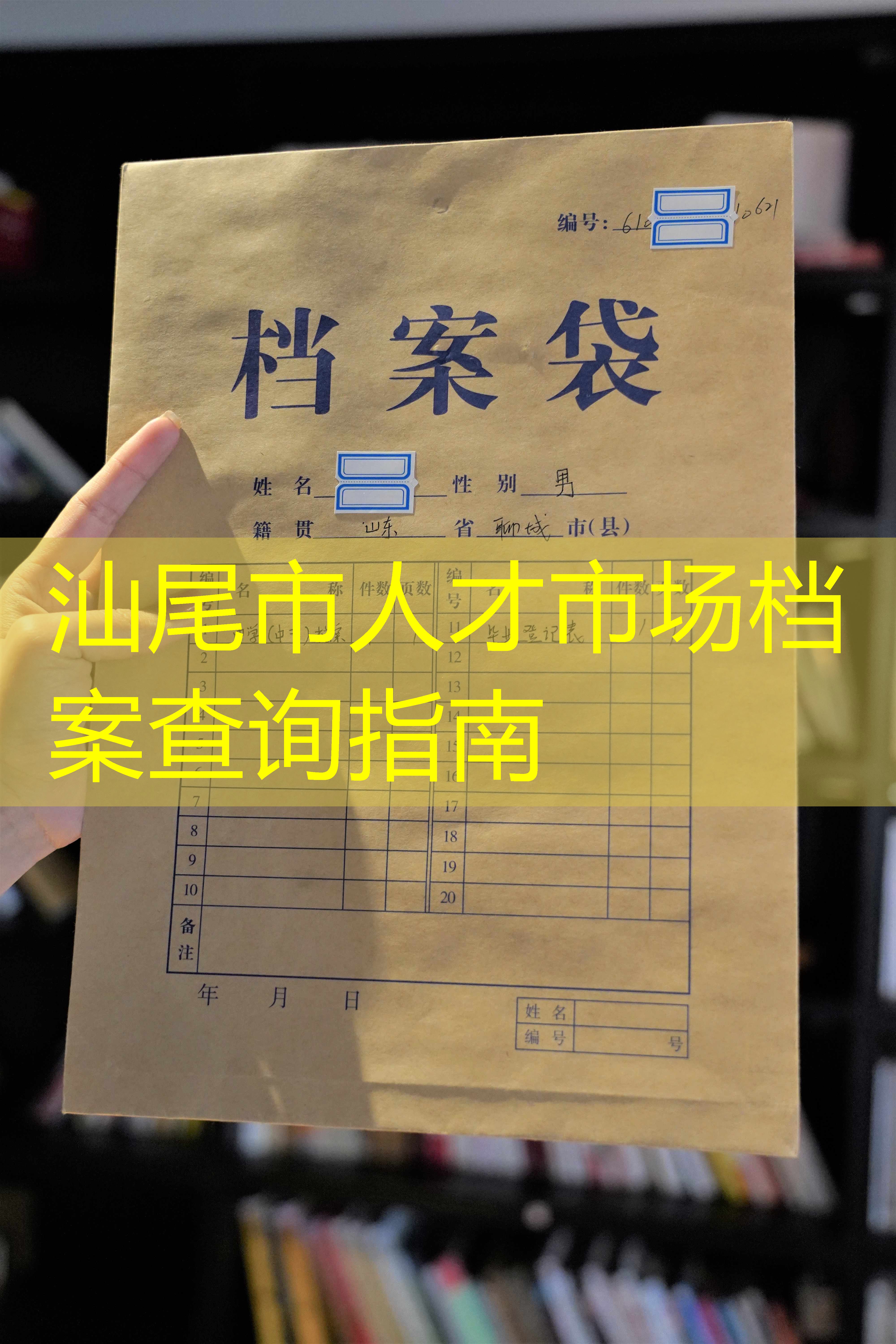 档案查询