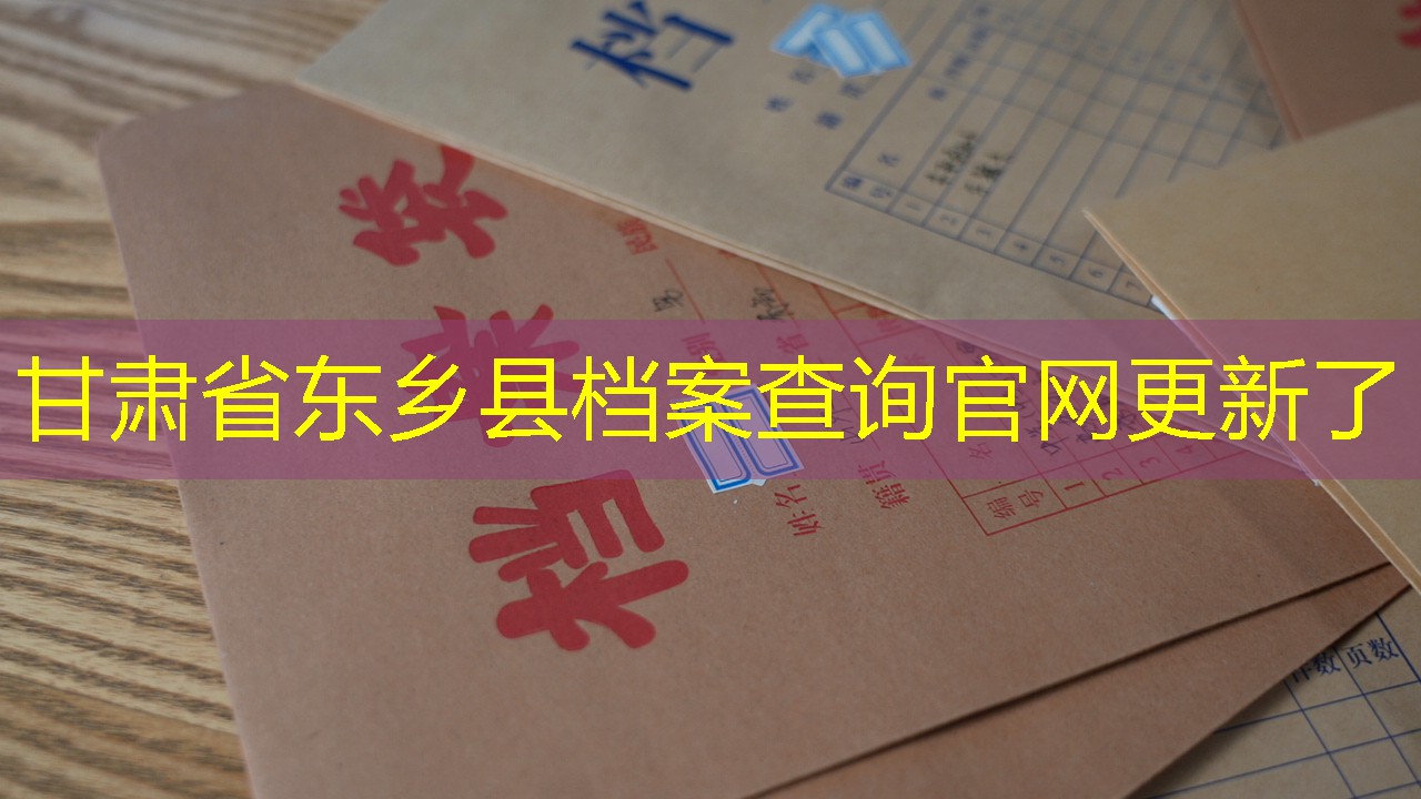 档案查询