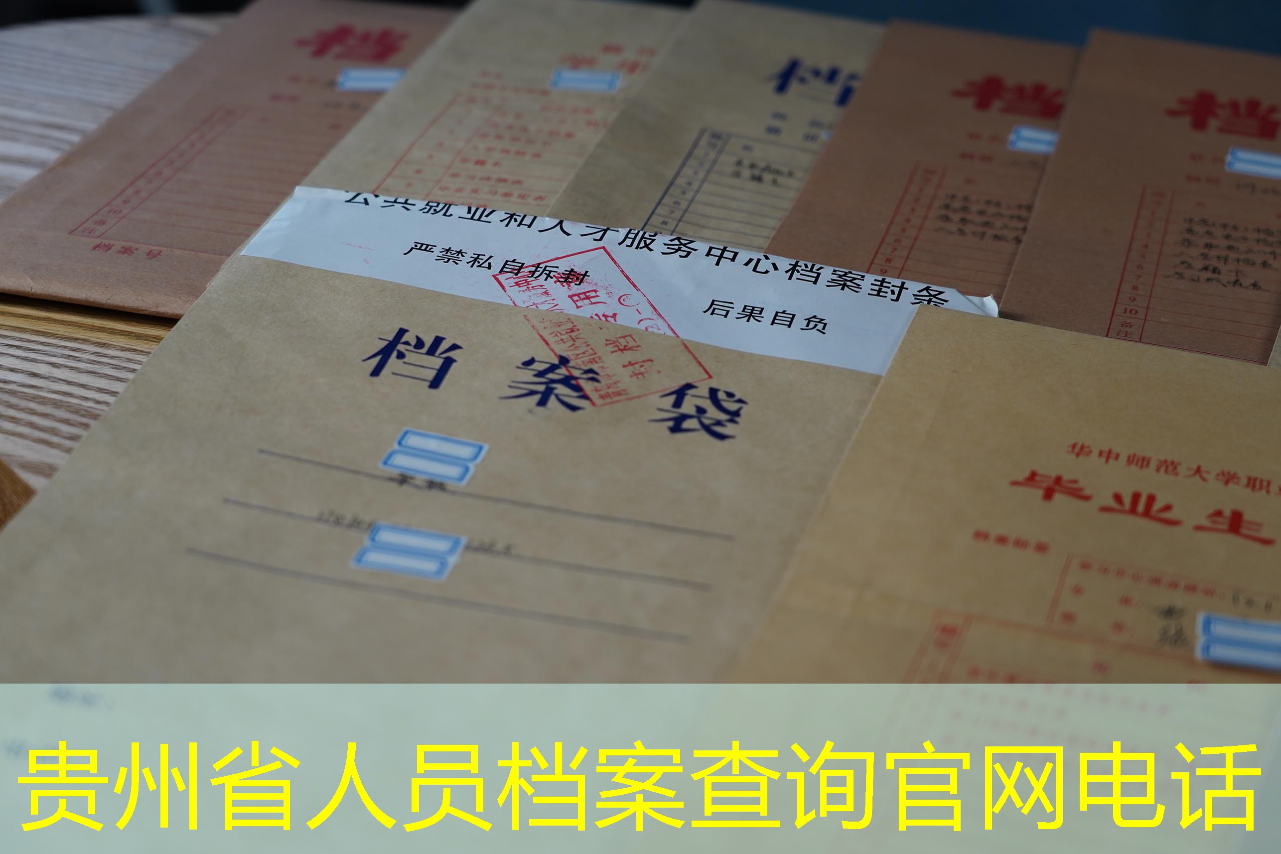 档案查询