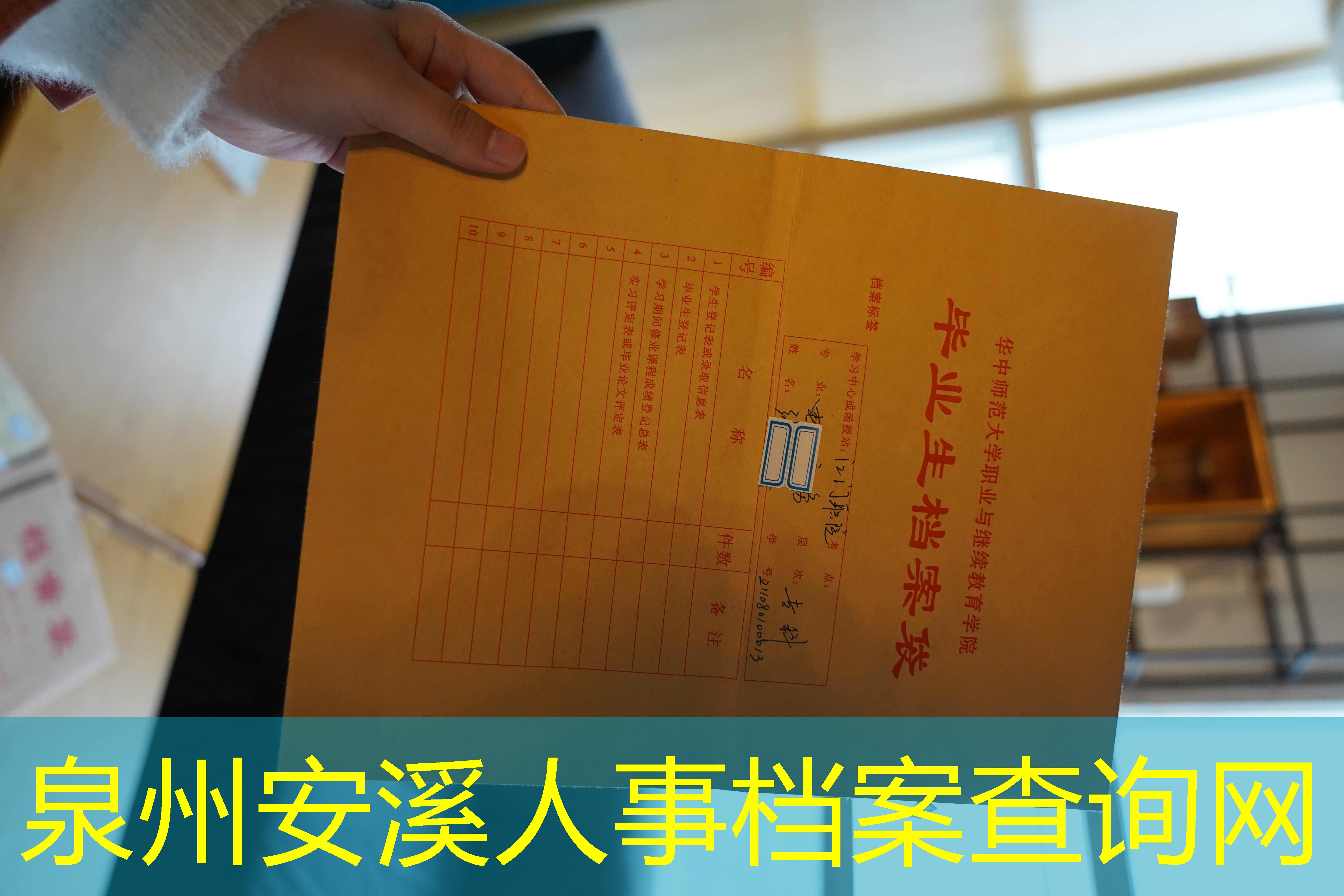 档案查询