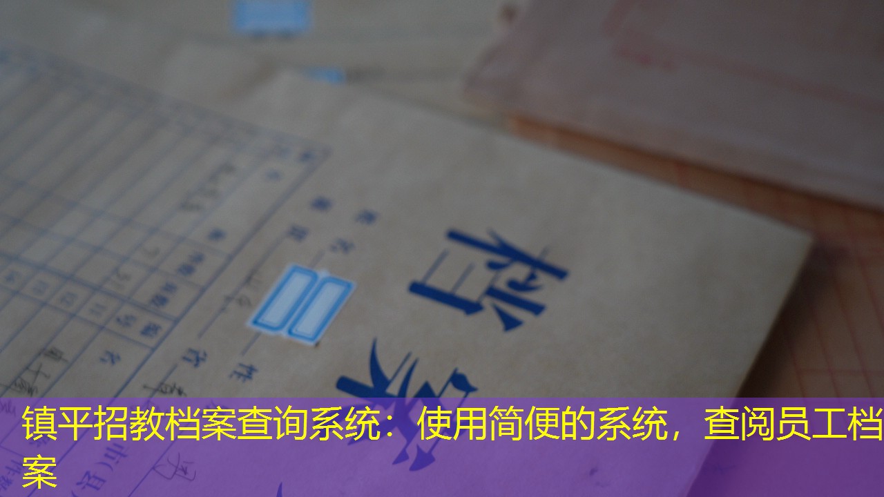 档案查询