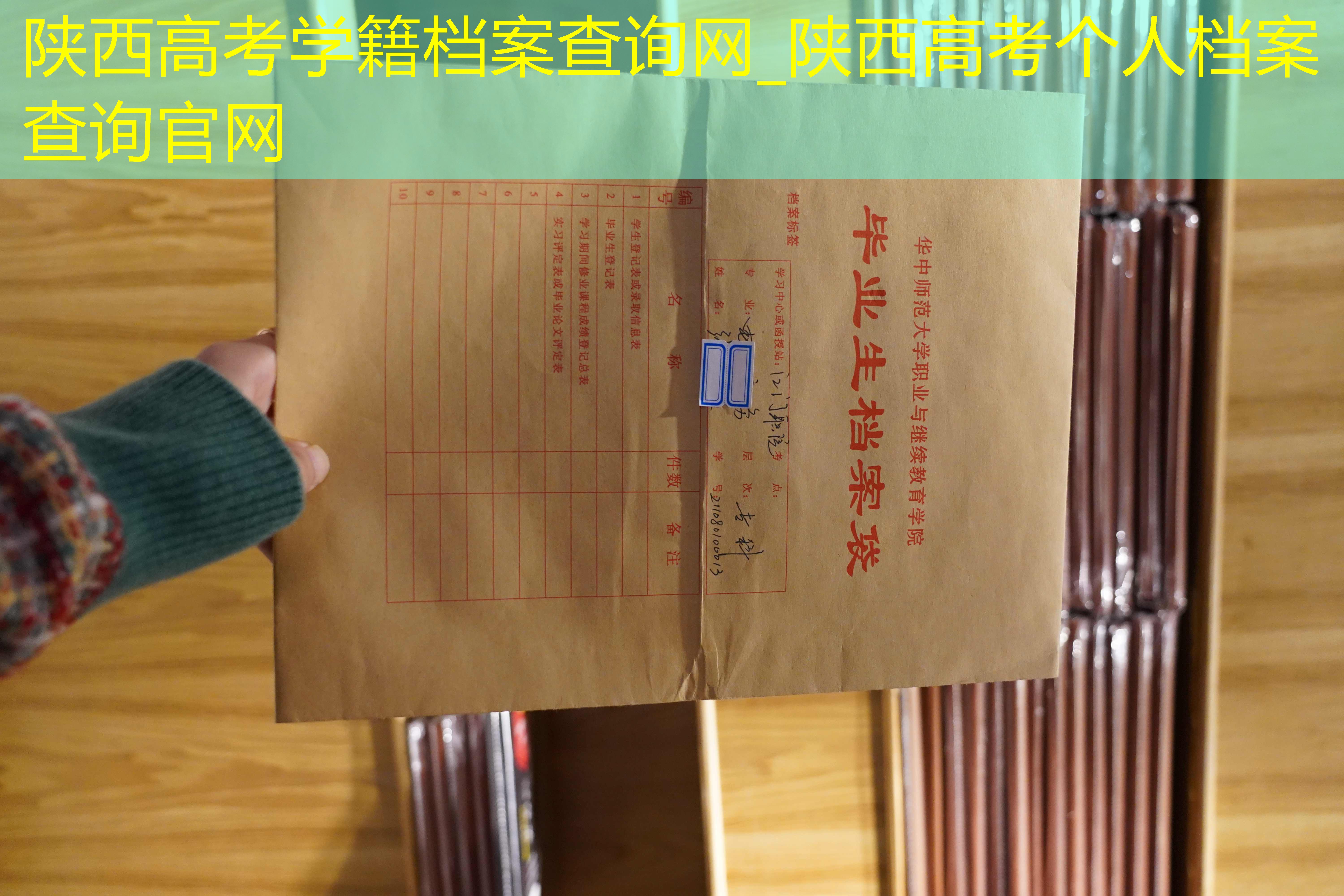 档案查询