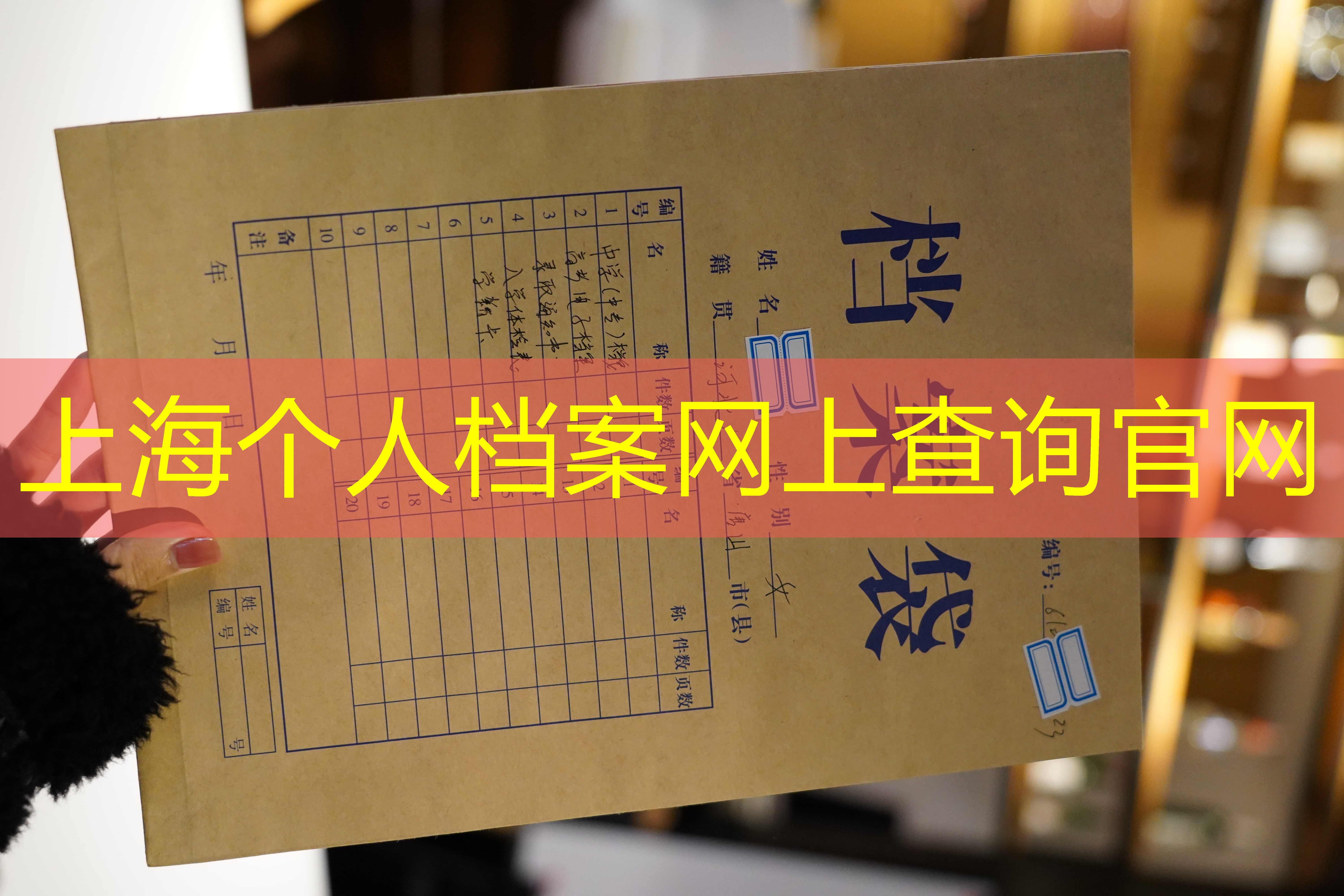 档案查询