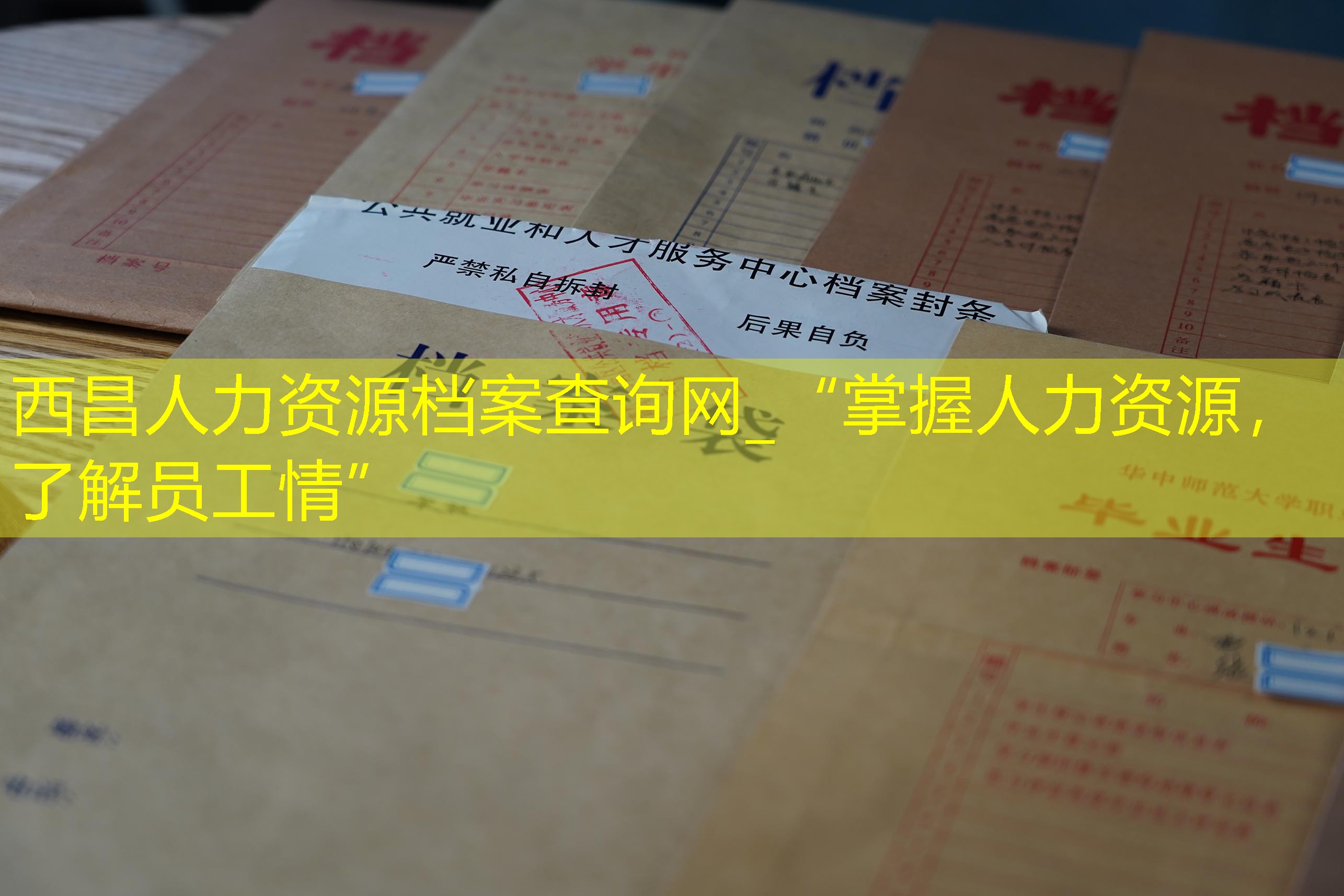 档案查询