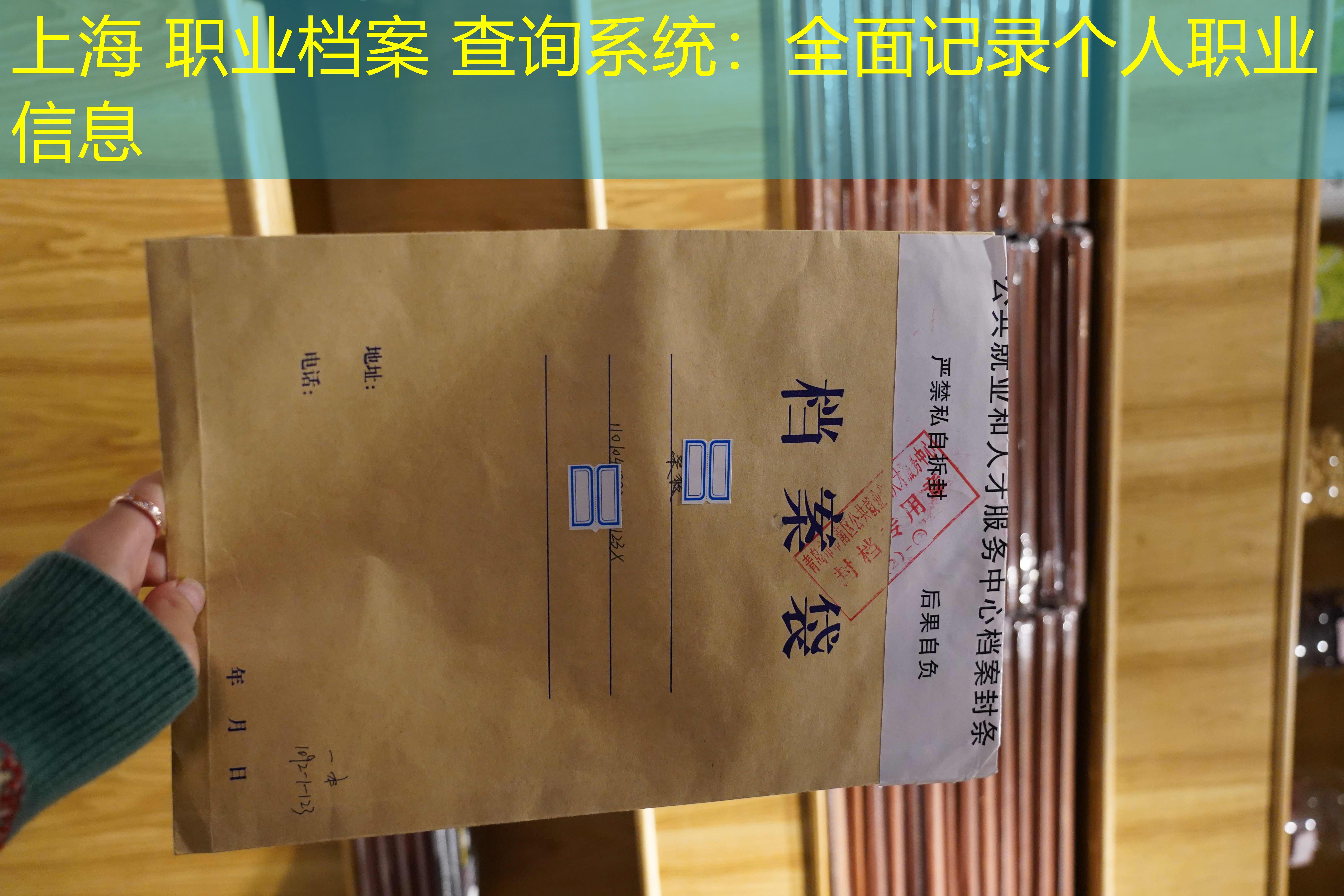 档案查询