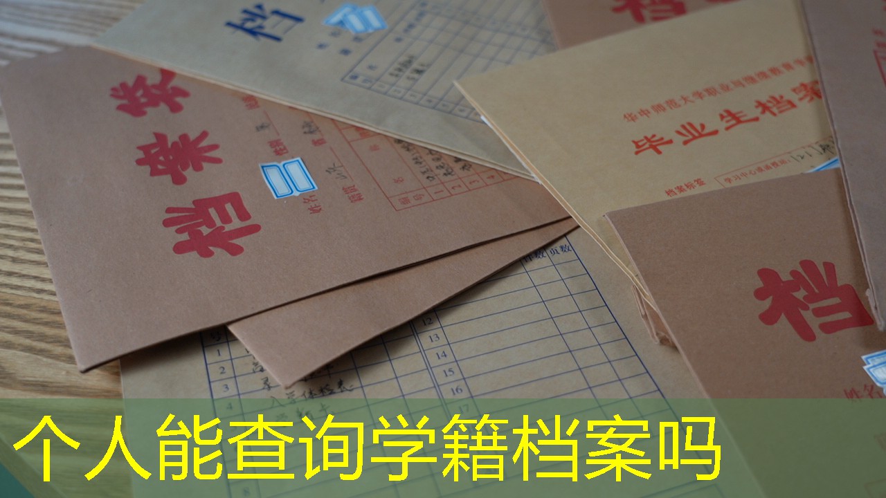 档案查询