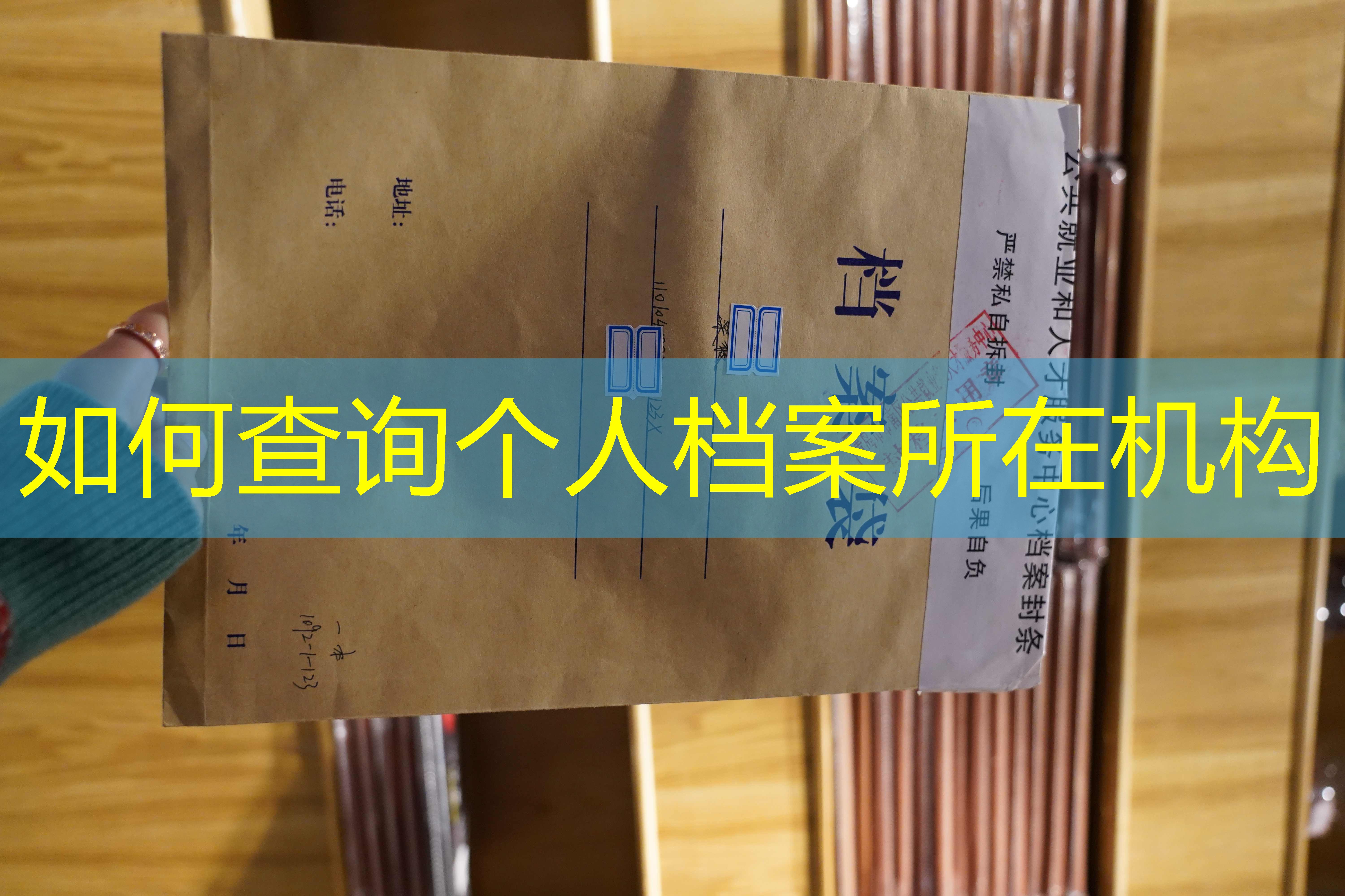 档案查询