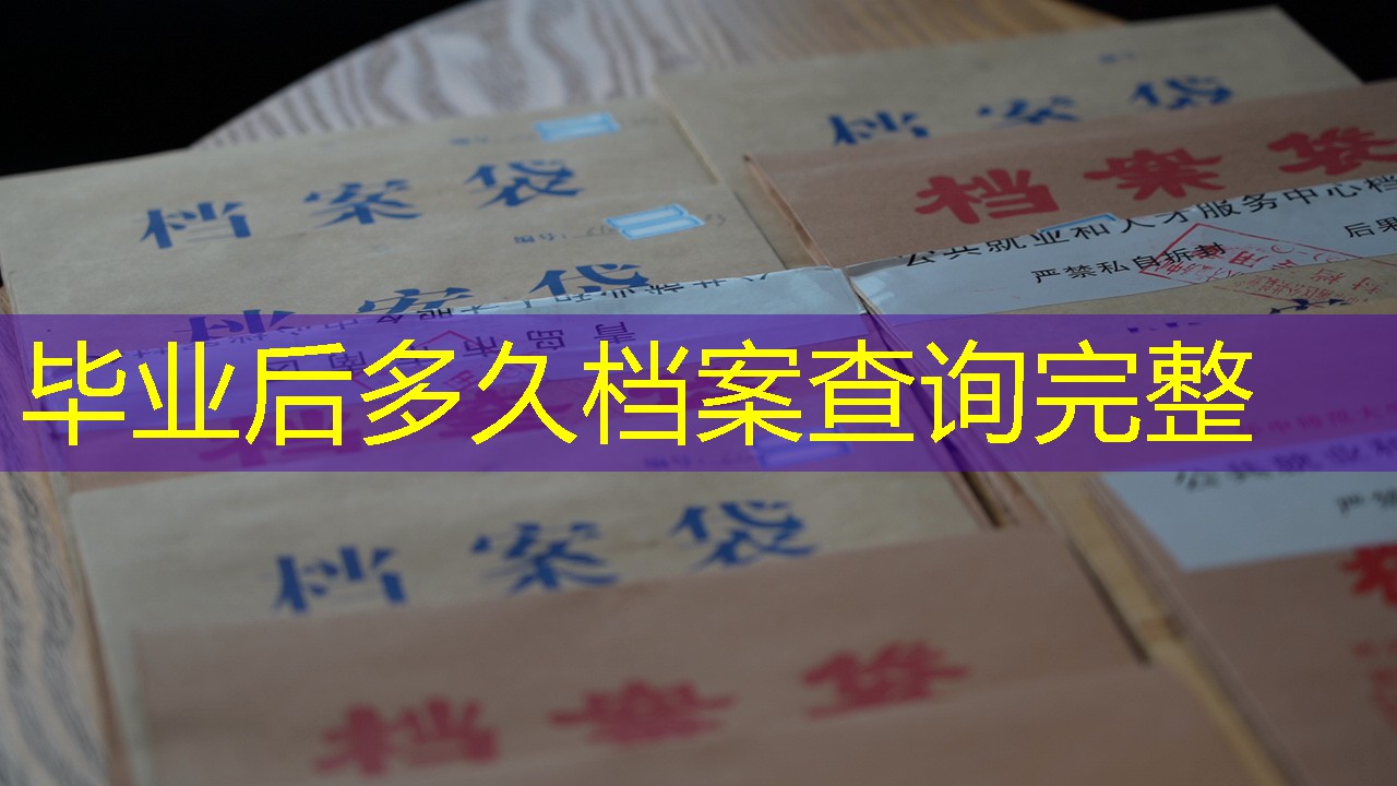 档案查询