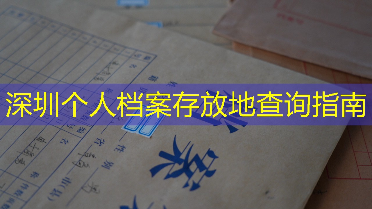 档案查询
