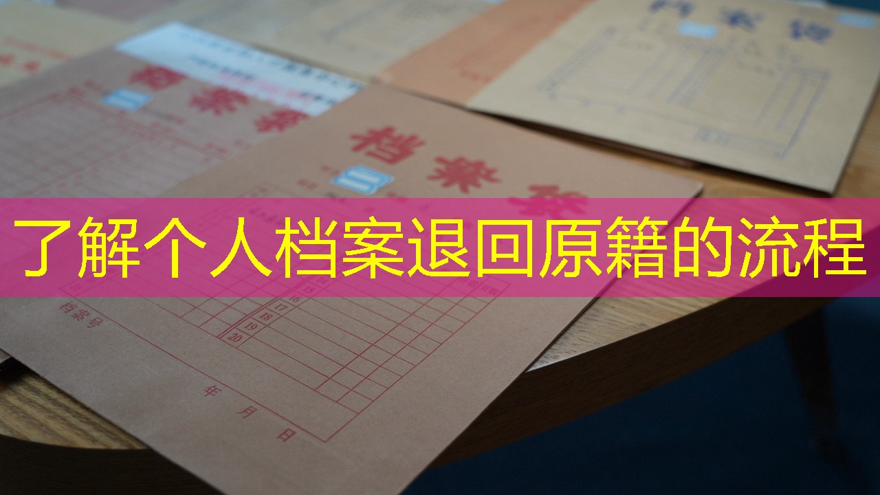 档案查询
