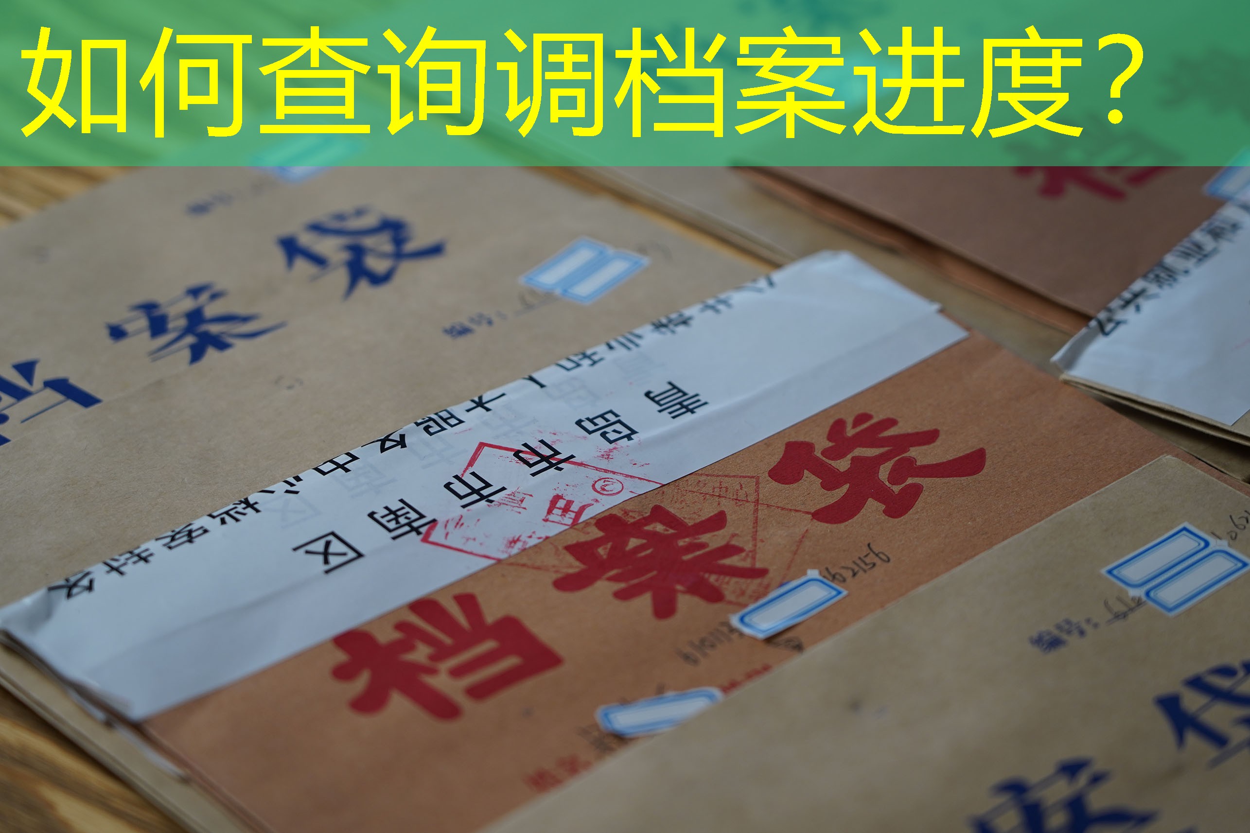 档案查询