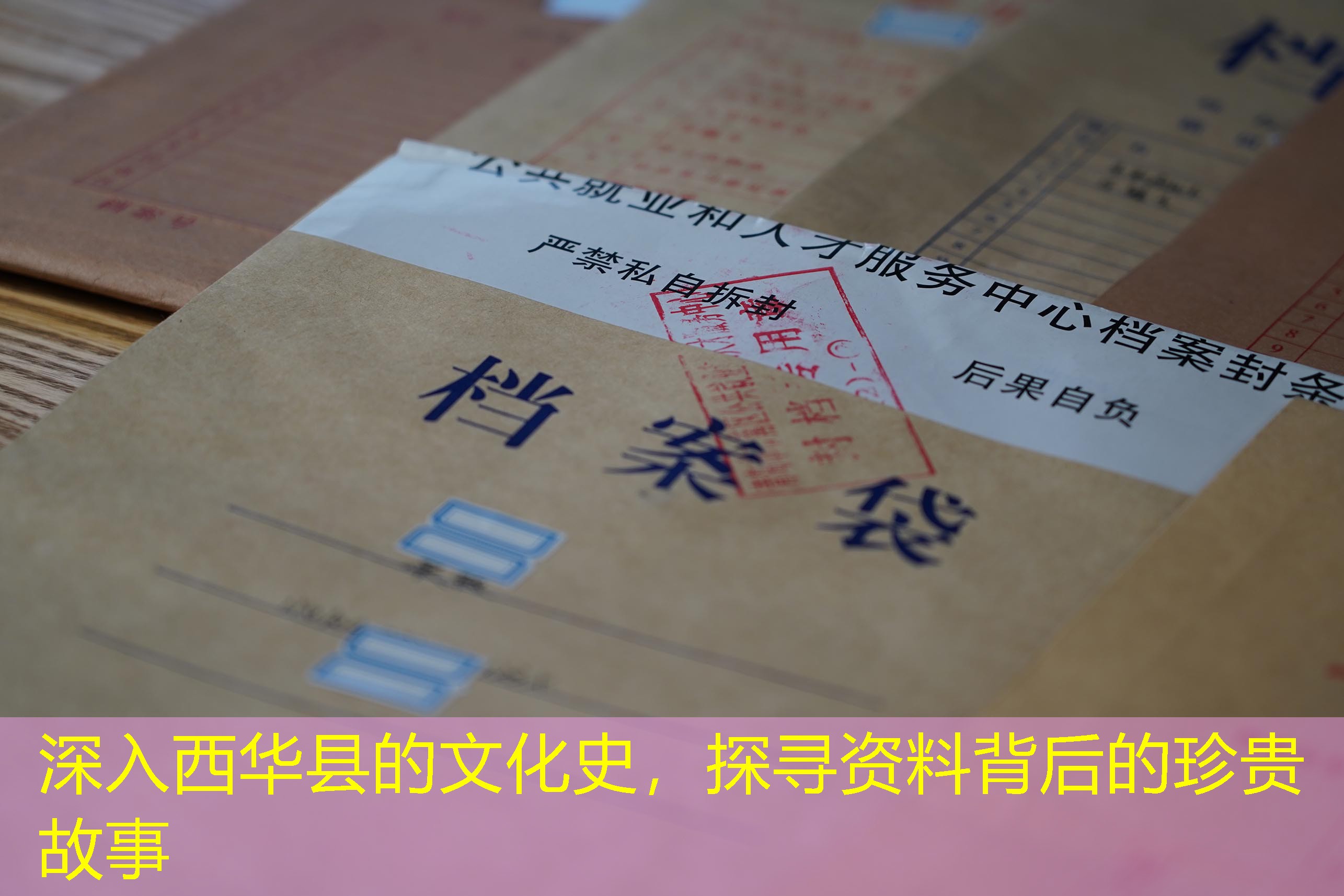 档案查询