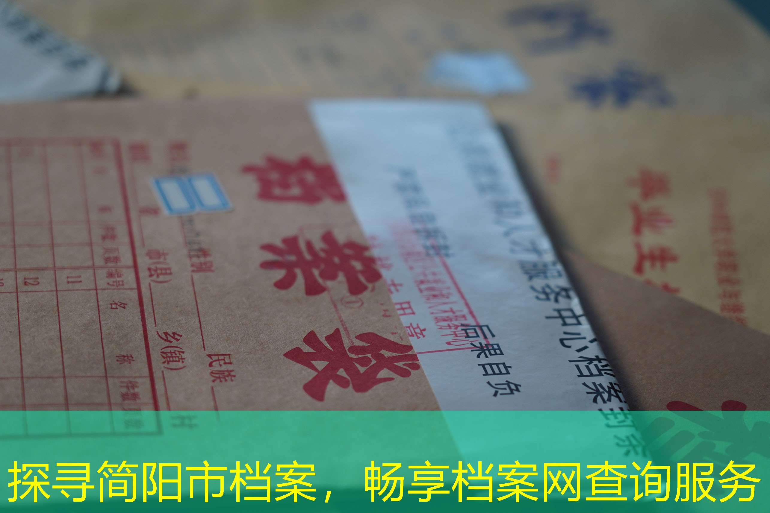 档案查询