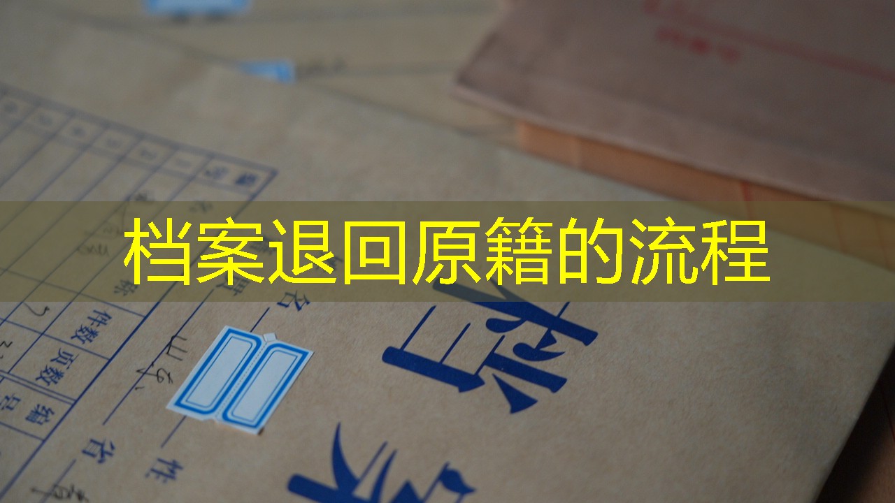档案查询