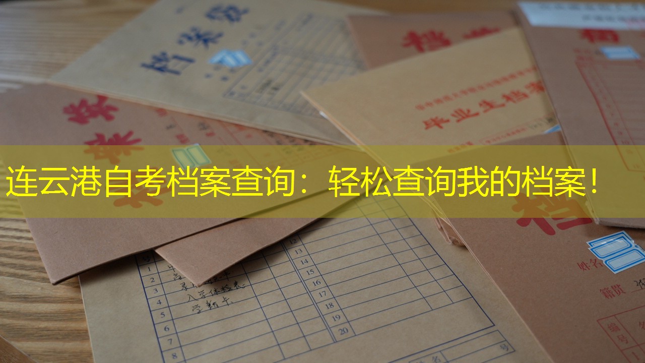 档案查询