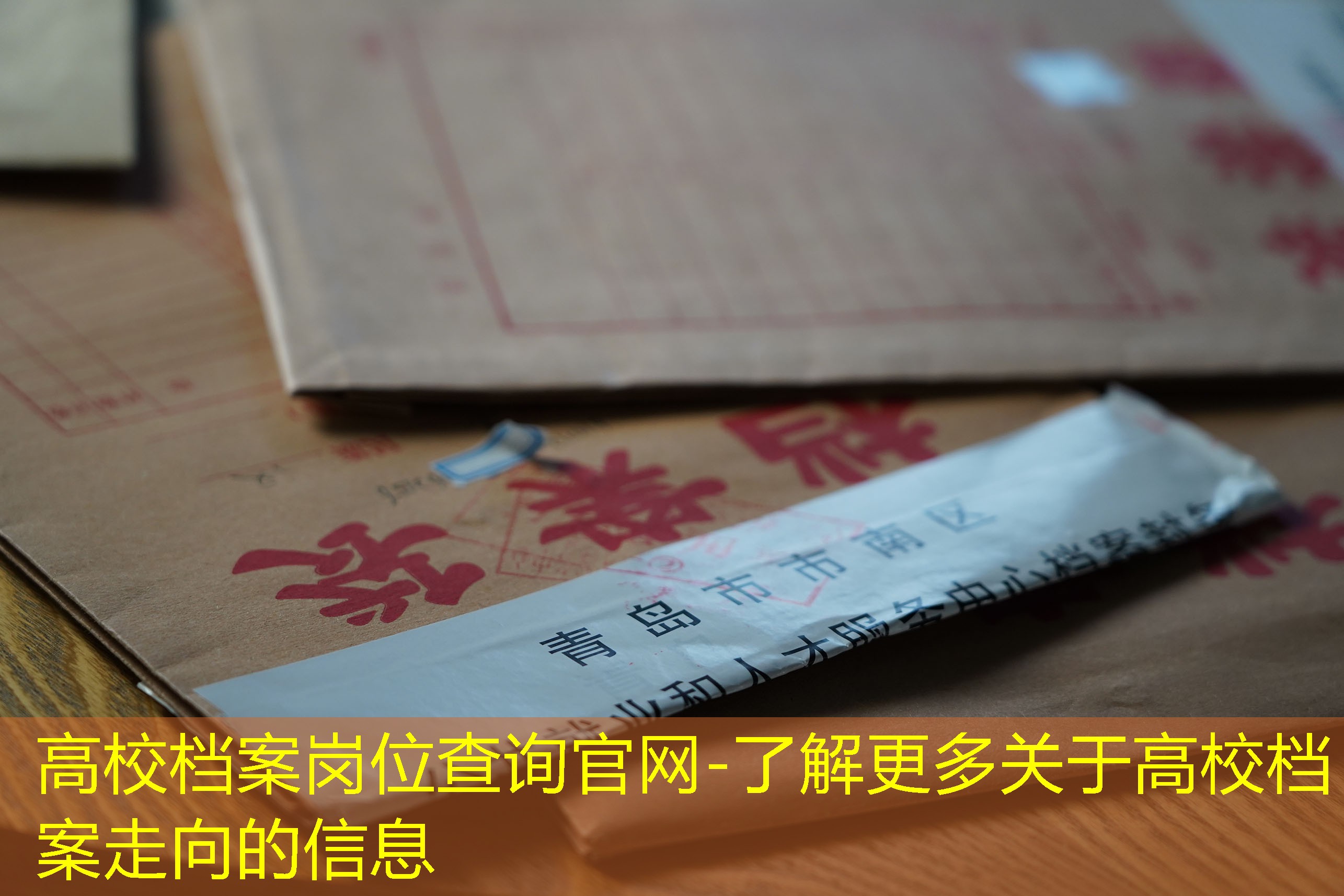 档案查询
