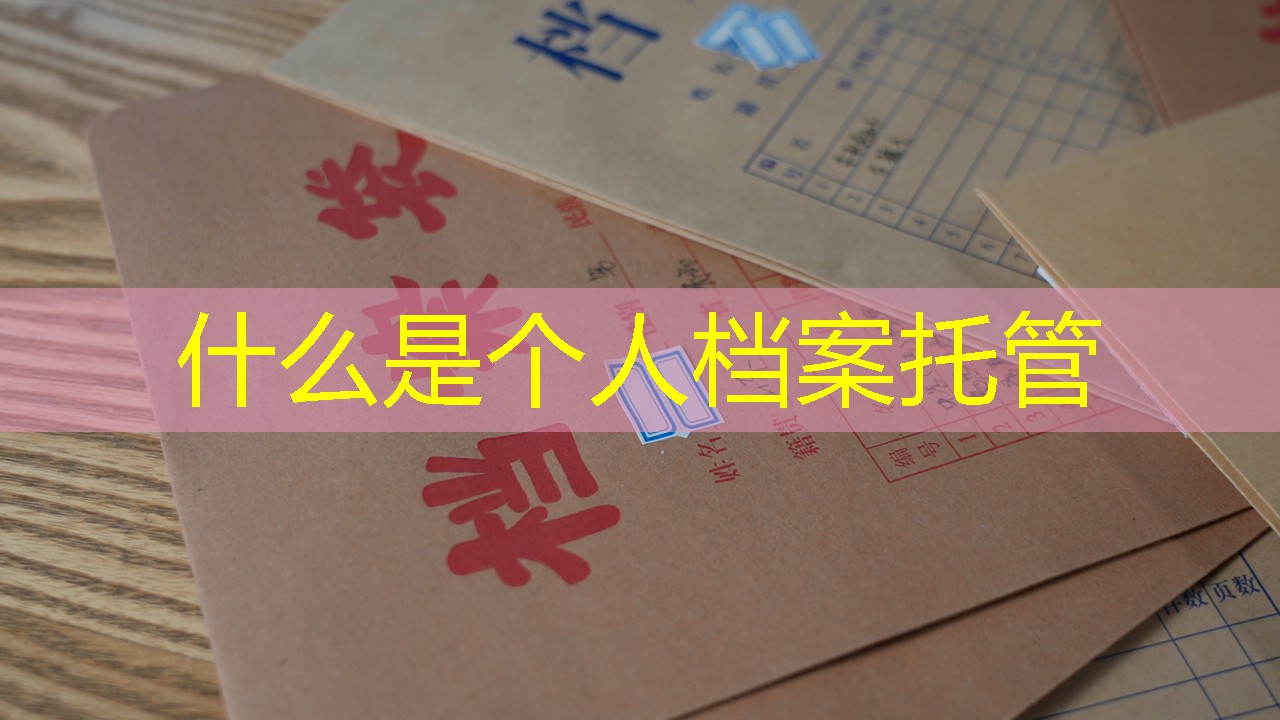 档案查询