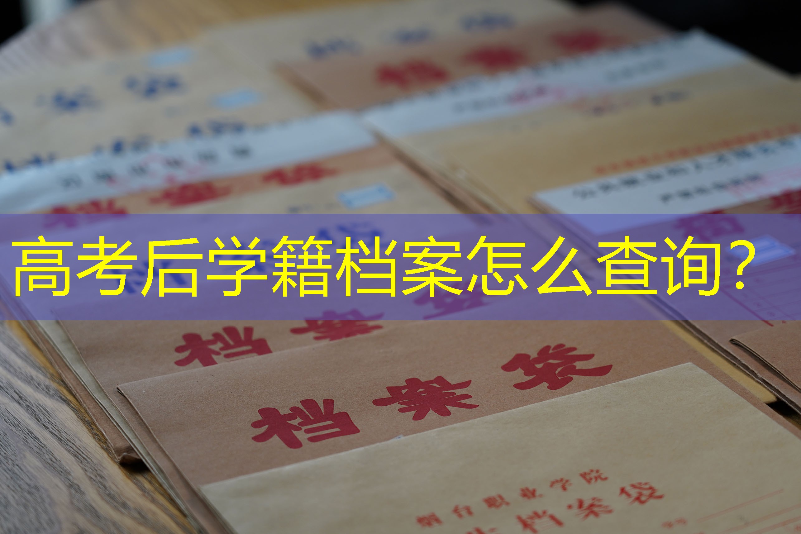 档案查询
