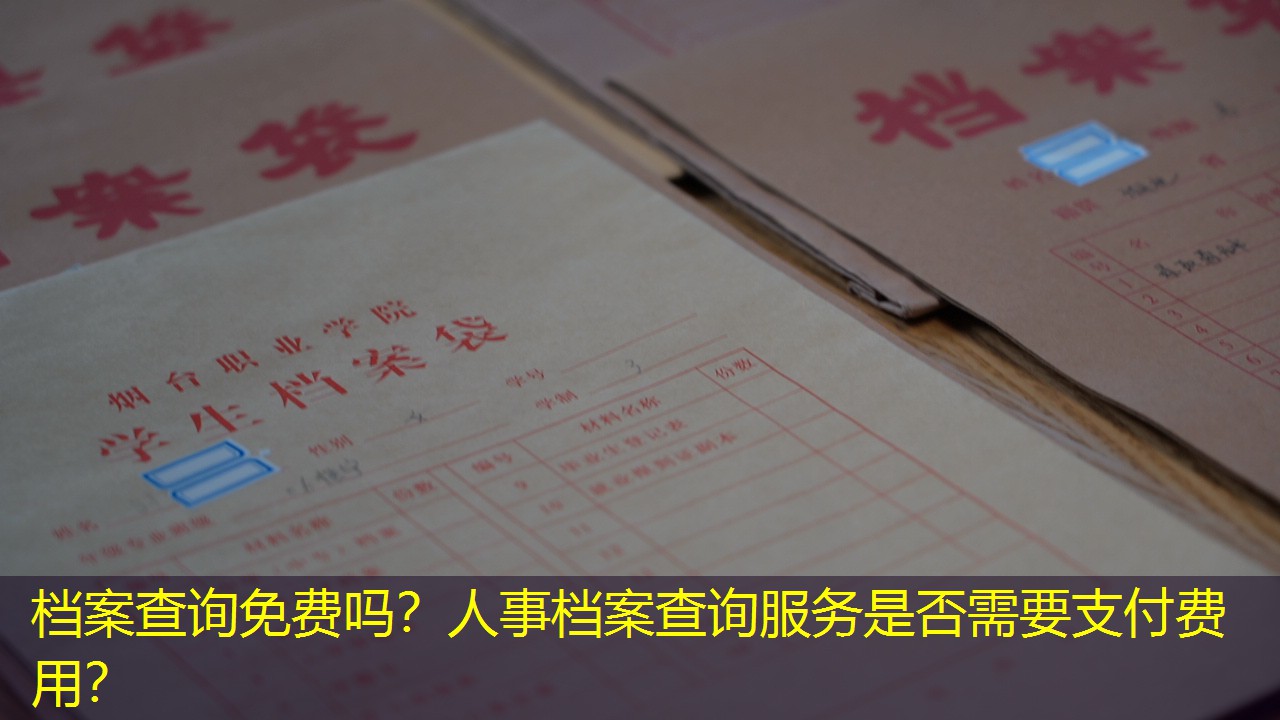 档案查询