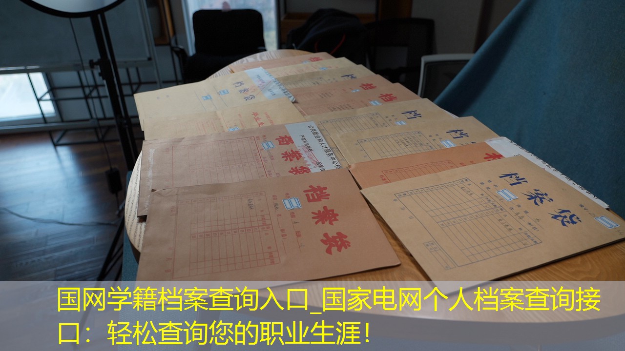 档案查询