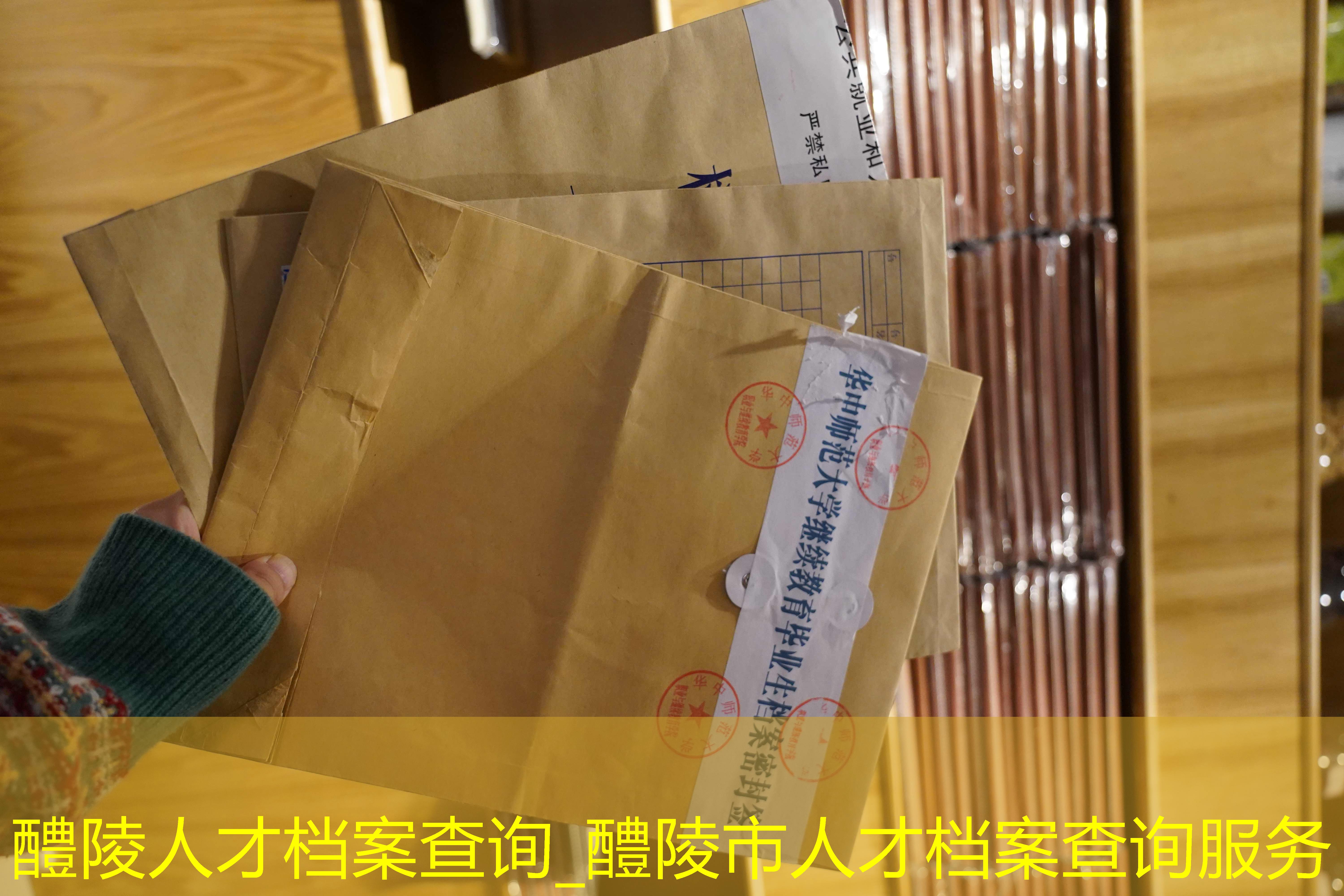 档案查询