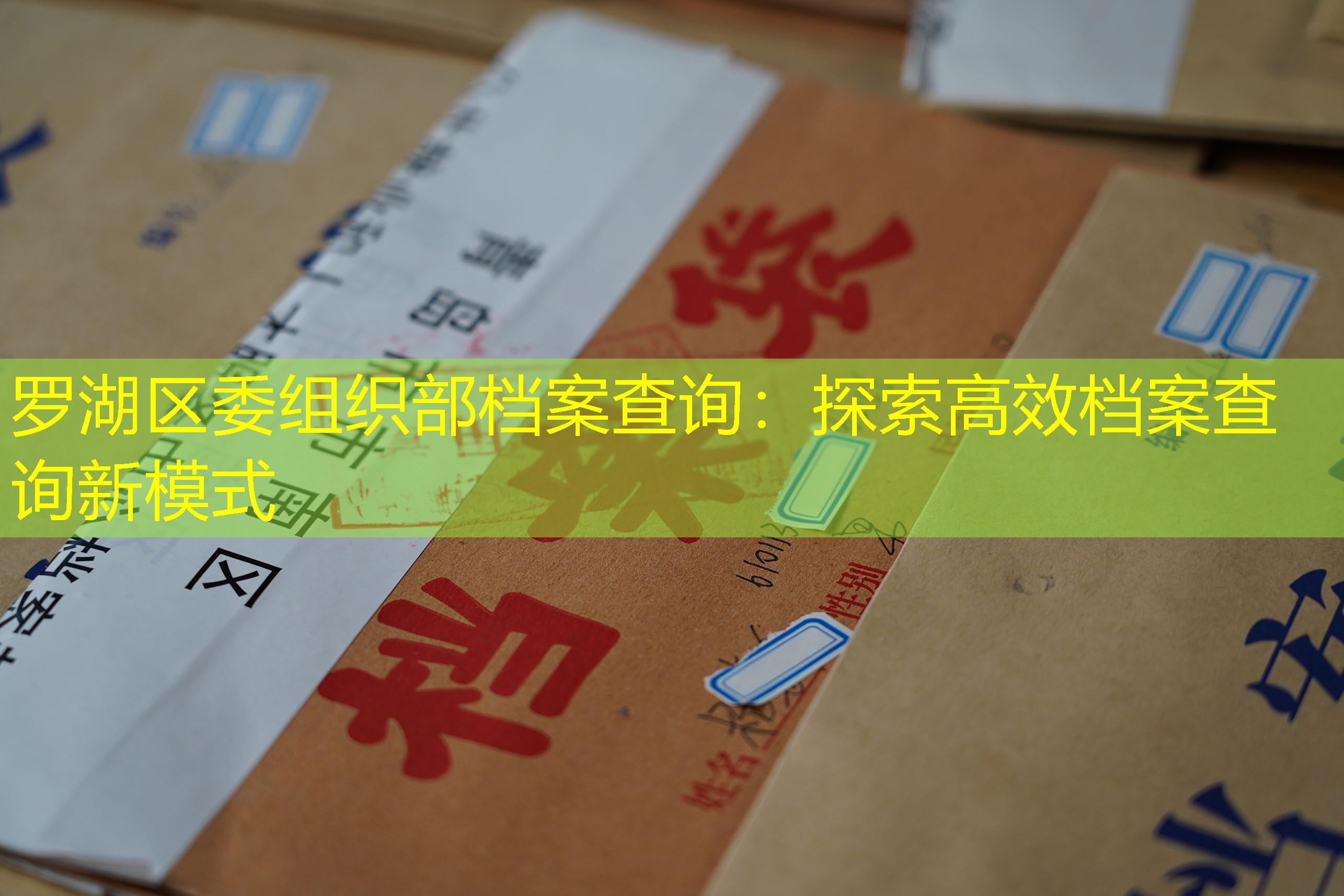 档案查询