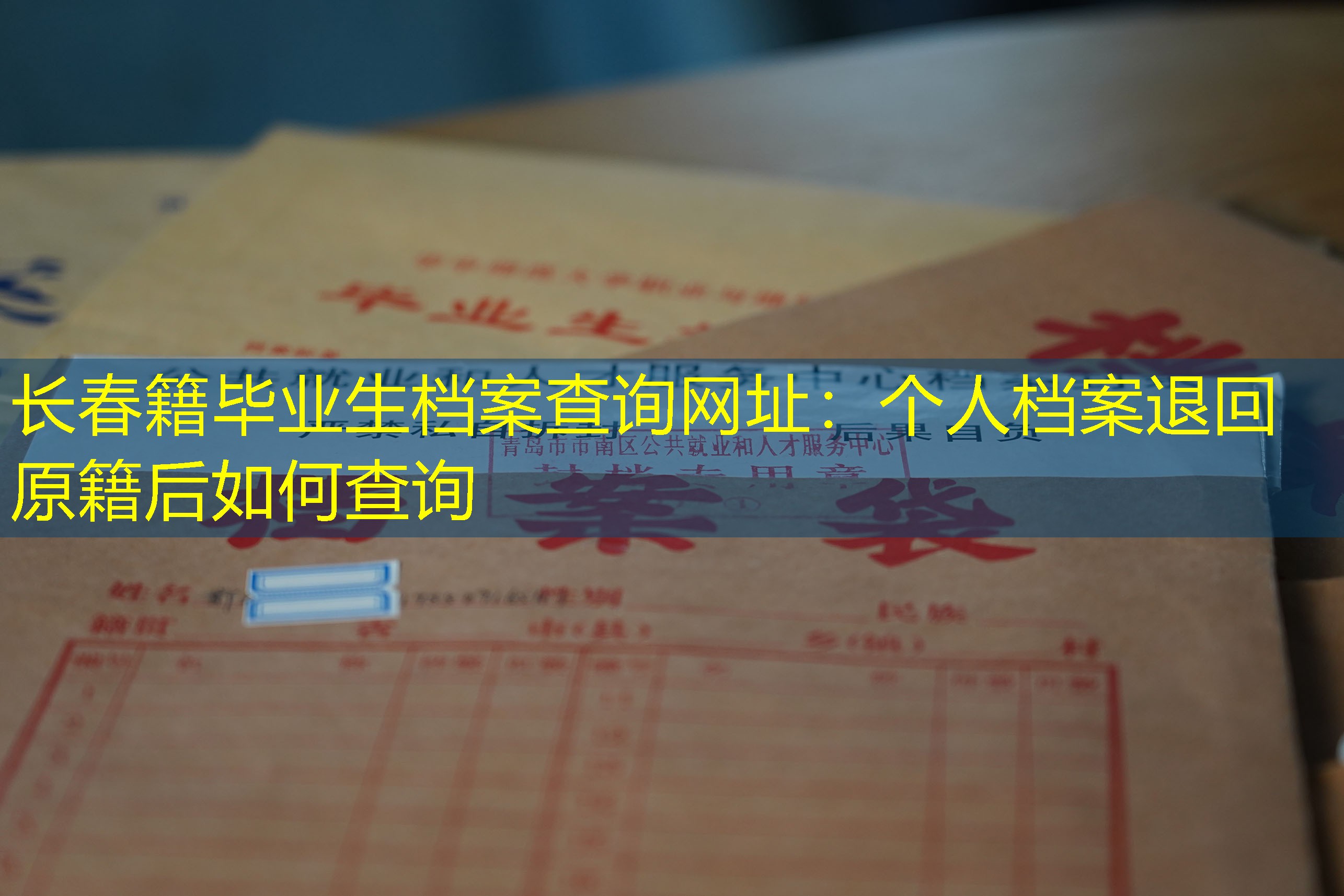 档案查询