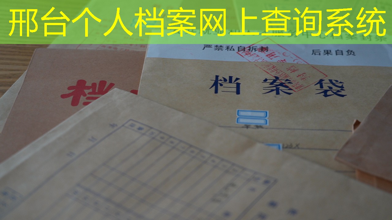 档案查询