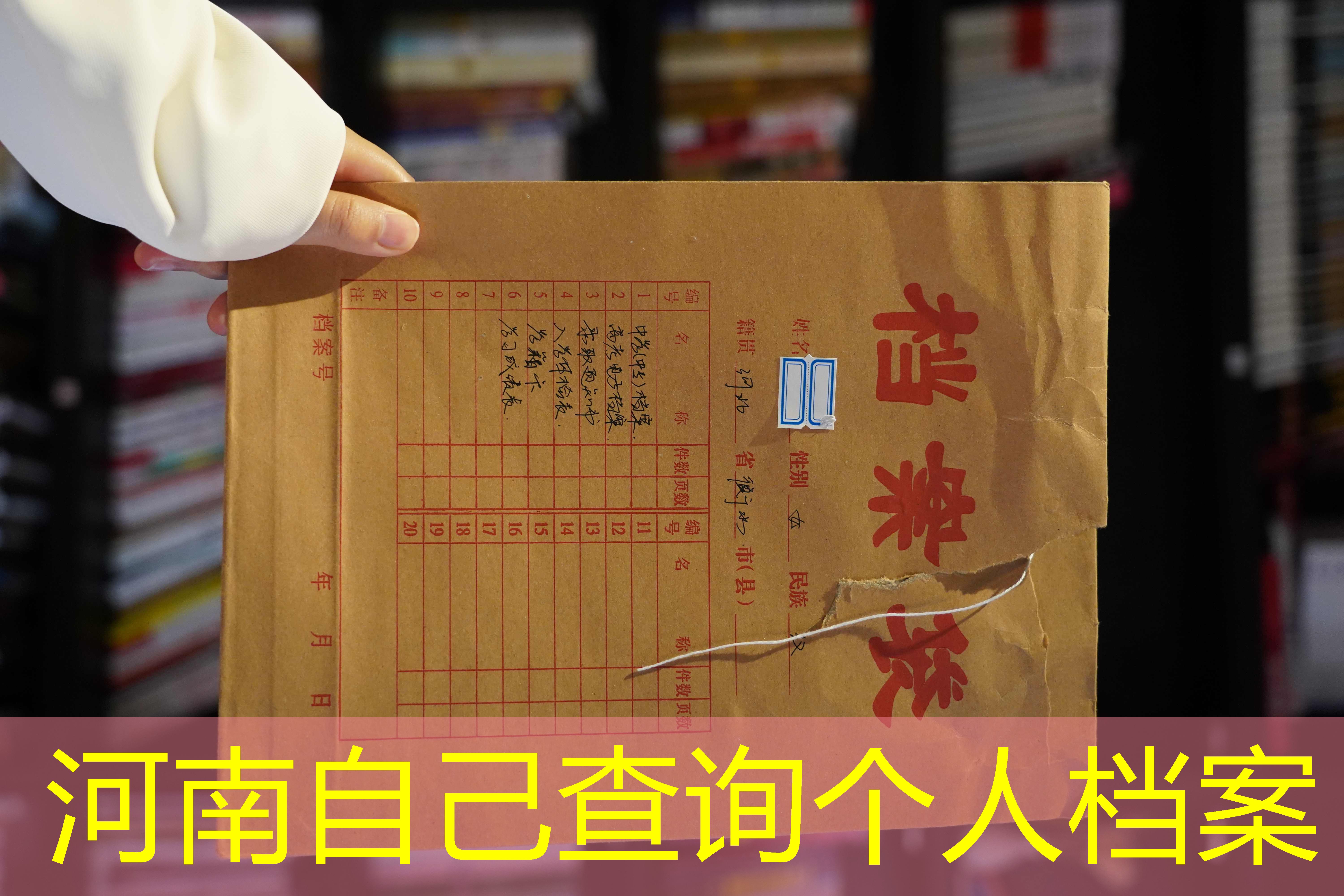 档案查询