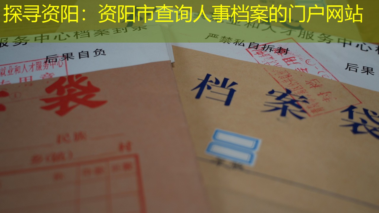档案查询