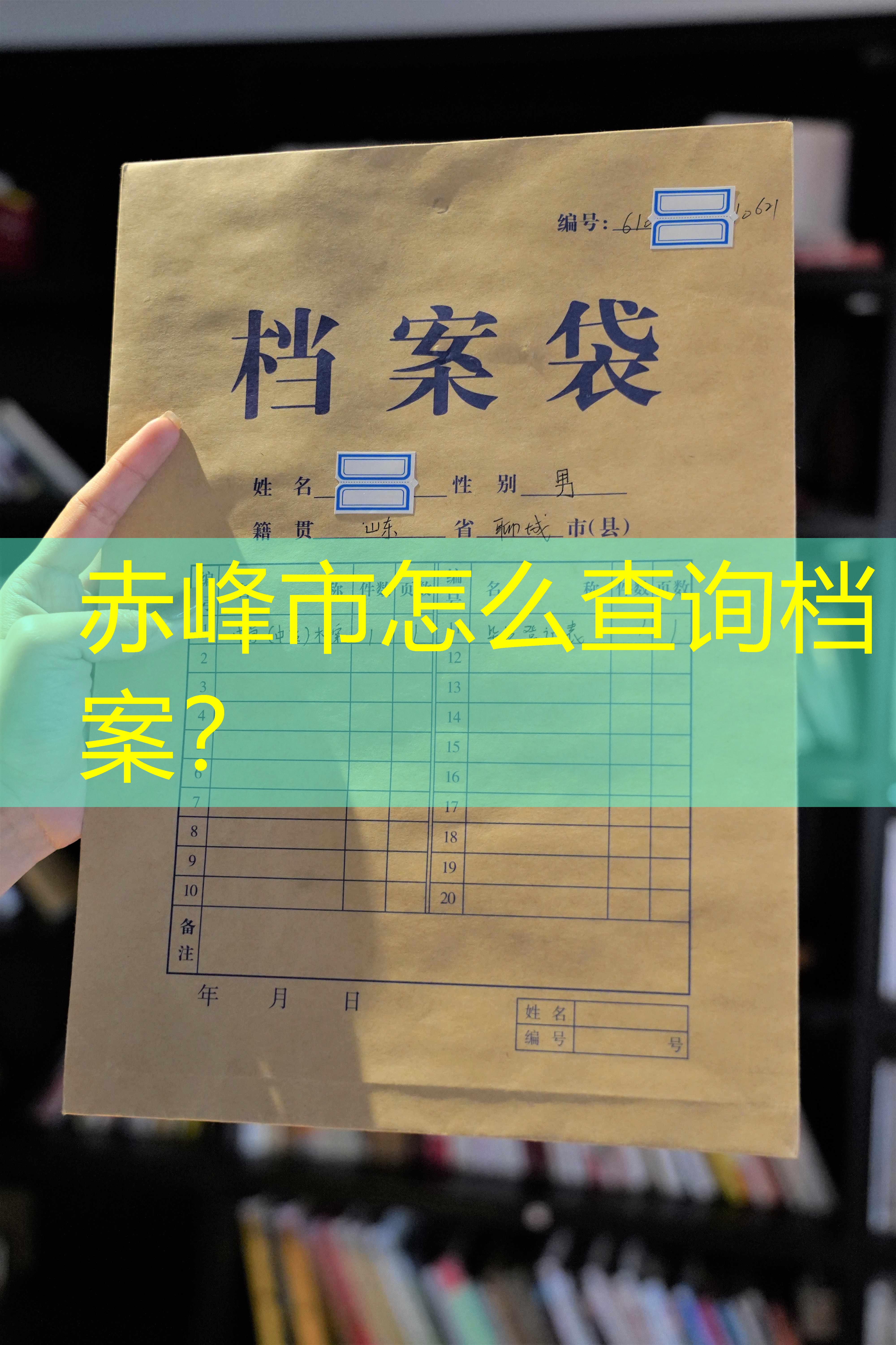 档案查询
