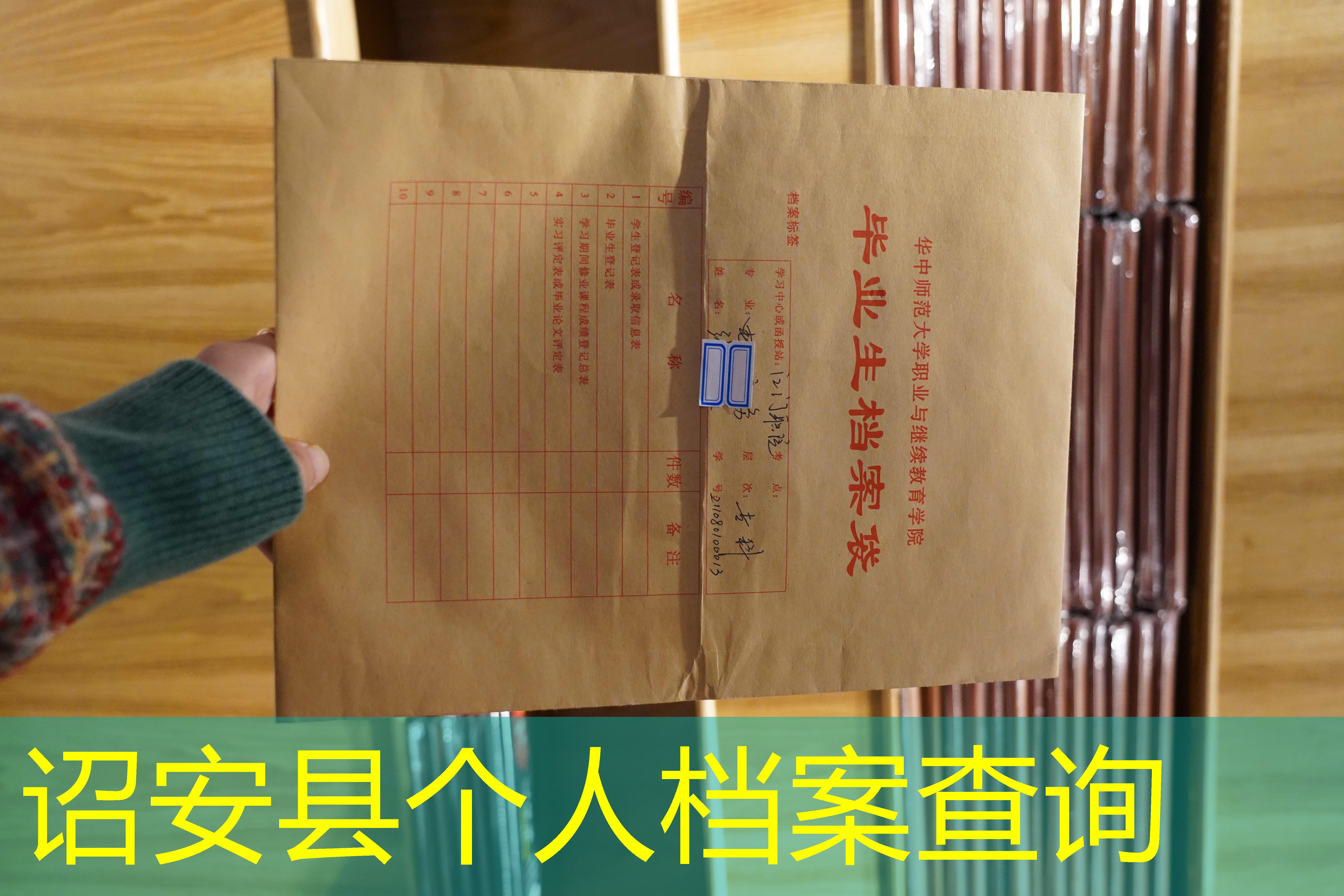 档案查询