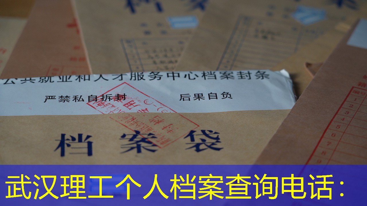 档案查询